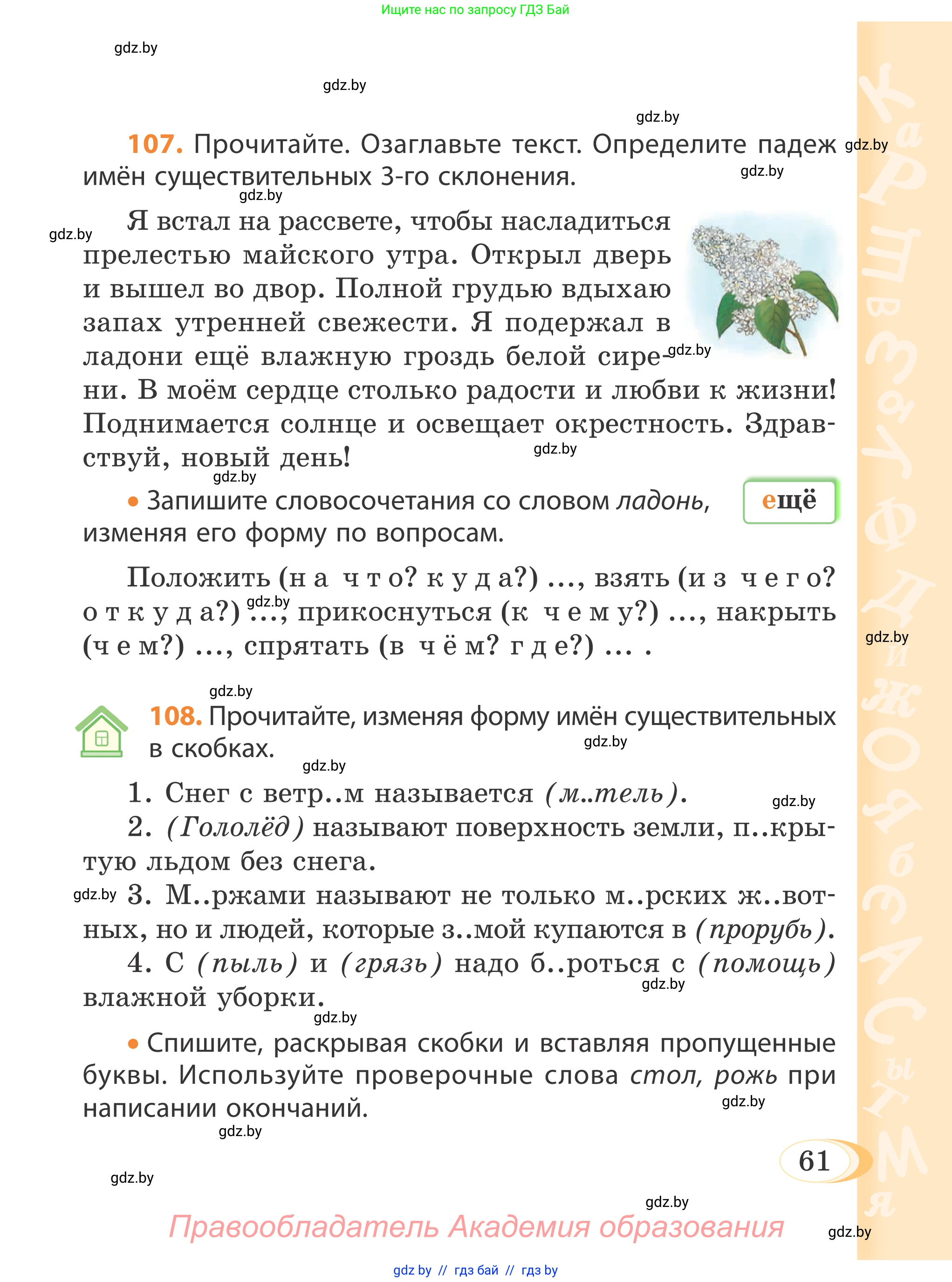 Русский язык, 4 класс Учебник, авторы: Антипова Маргарита Борисовна, Верниковская Алла Викторовна, Грабчикова Елена Самарьевна, издательство Академия образования, Минск, 2024, оранжевого цвета, Часть 1, страница 61