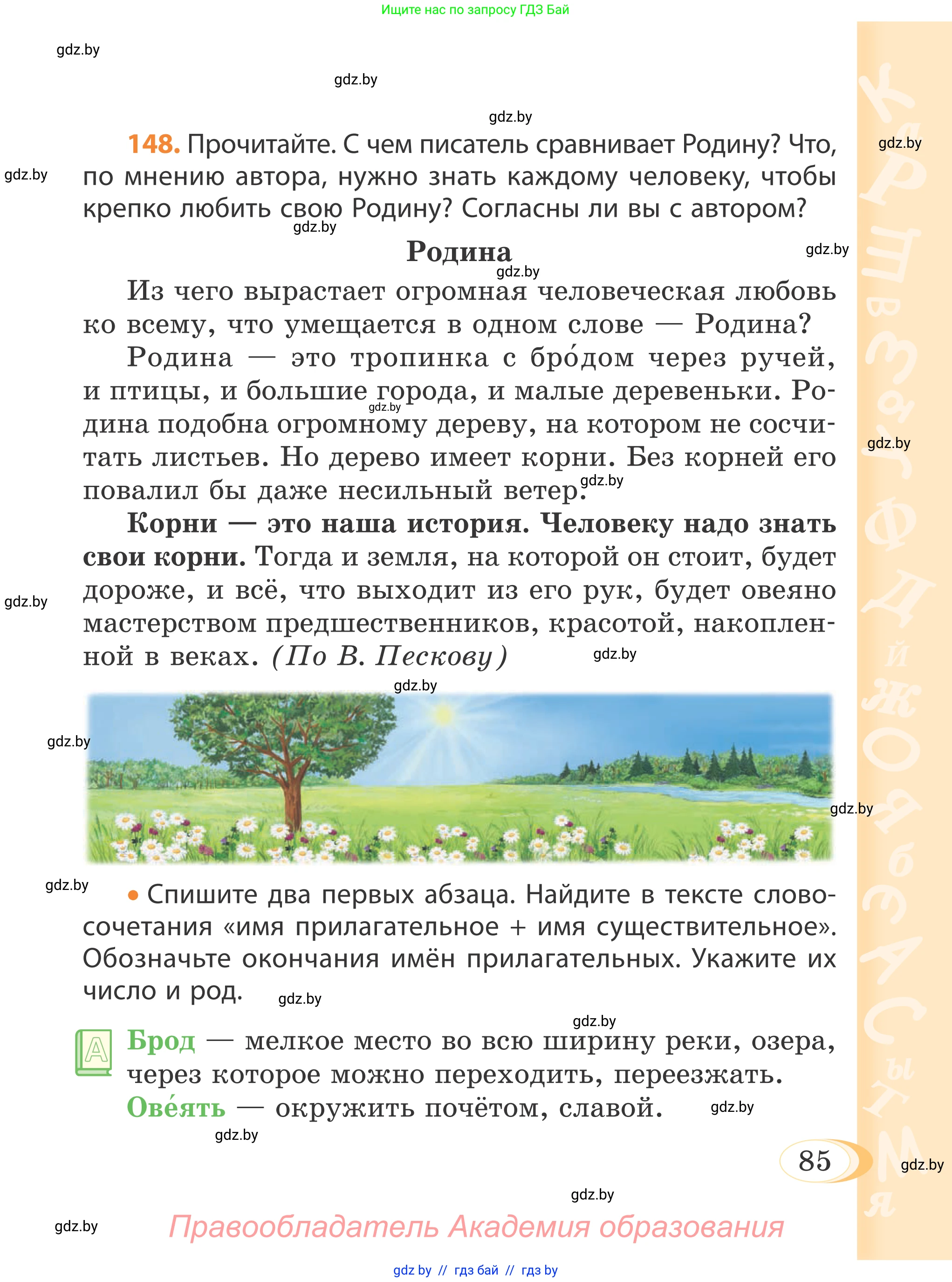 Русский язык, 4 класс Учебник, авторы: Антипова Маргарита Борисовна, Верниковская Алла Викторовна, Грабчикова Елена Самарьевна, издательство Академия образования, Минск, 2024, оранжевого цвета, Часть 1, страница 48, номер 85, Условие