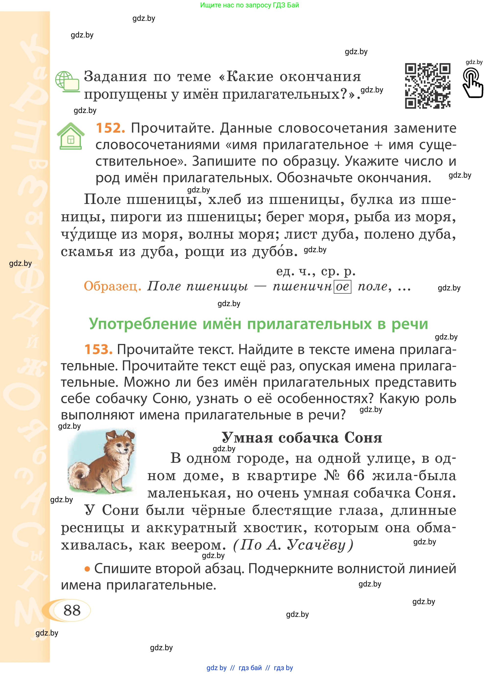 Русский язык, 4 класс Учебник, авторы: Антипова Маргарита Борисовна, Верниковская Алла Викторовна, Грабчикова Елена Самарьевна, издательство Академия образования, Минск, 2024, оранжевого цвета, Часть 1, страница 50, номер 88, Условие