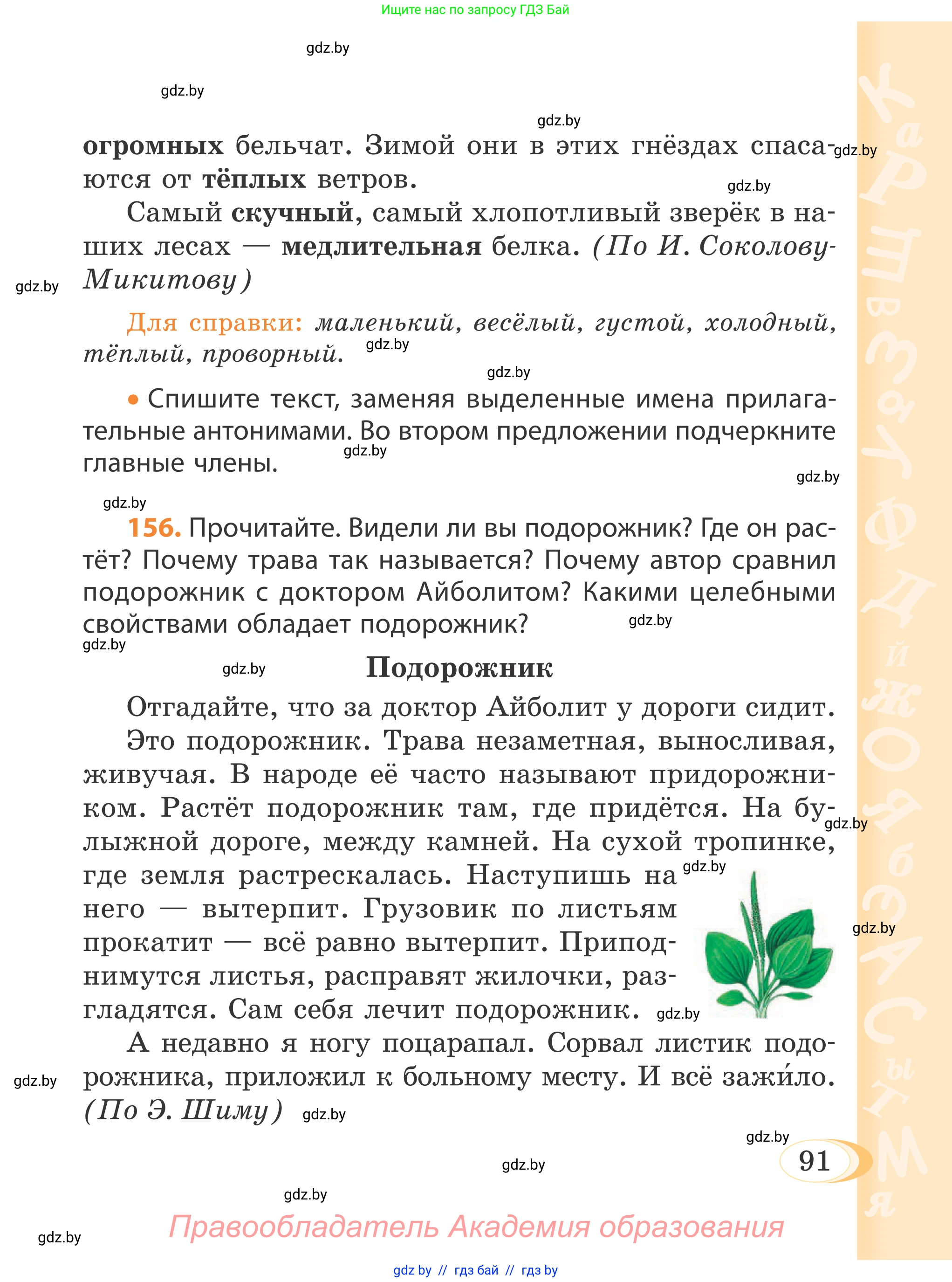 Русский язык, 4 класс Учебник, авторы: Антипова Маргарита Борисовна, Верниковская Алла Викторовна, Грабчикова Елена Самарьевна, издательство Академия образования, Минск, 2024, оранжевого цвета, Часть 1, страница 91
