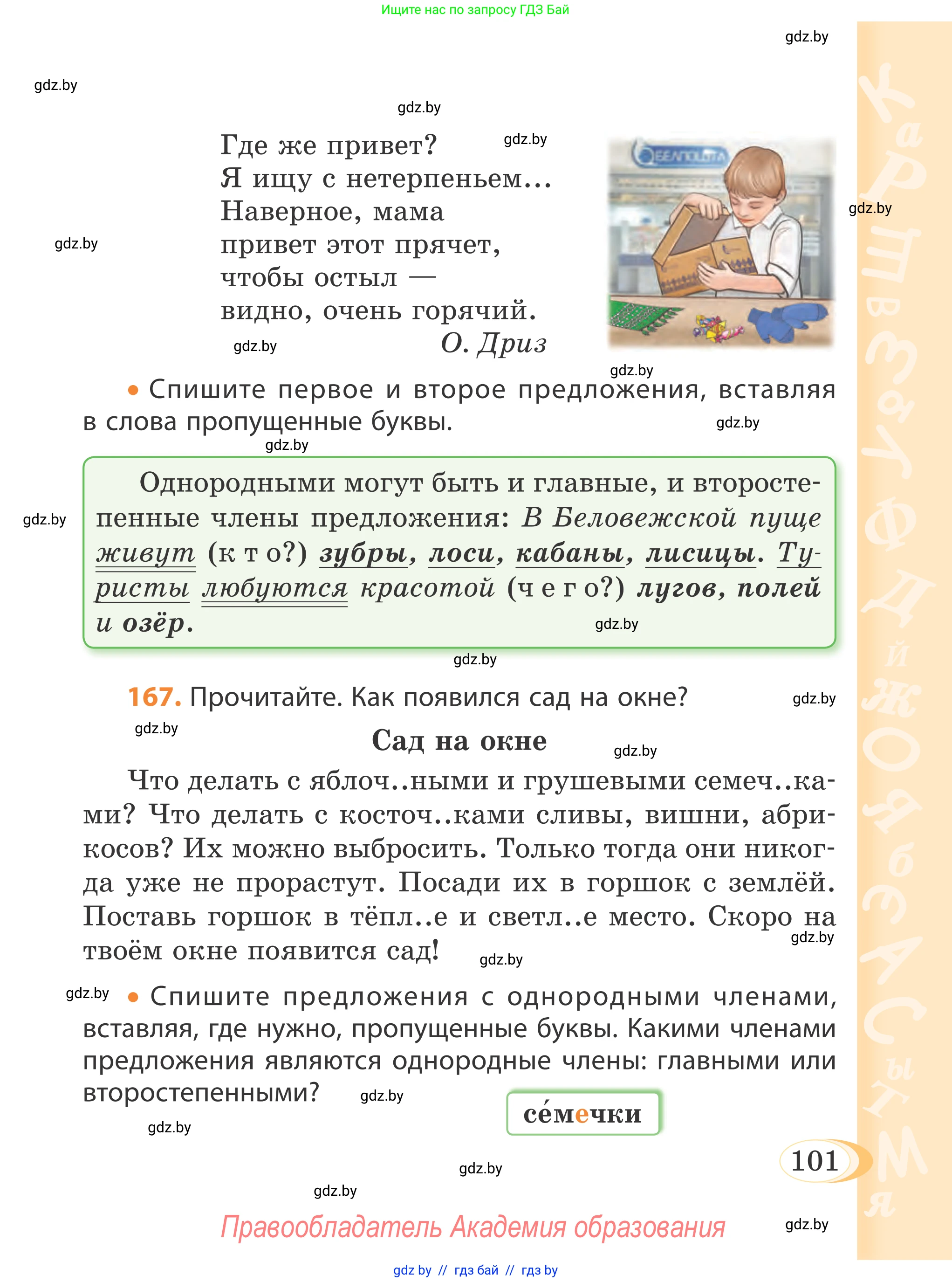 Русский язык, 4 класс Учебник, авторы: Антипова Маргарита Борисовна, Верниковская Алла Викторовна, Грабчикова Елена Самарьевна, издательство Академия образования, Минск, 2024, оранжевого цвета, Часть 2, страница 101