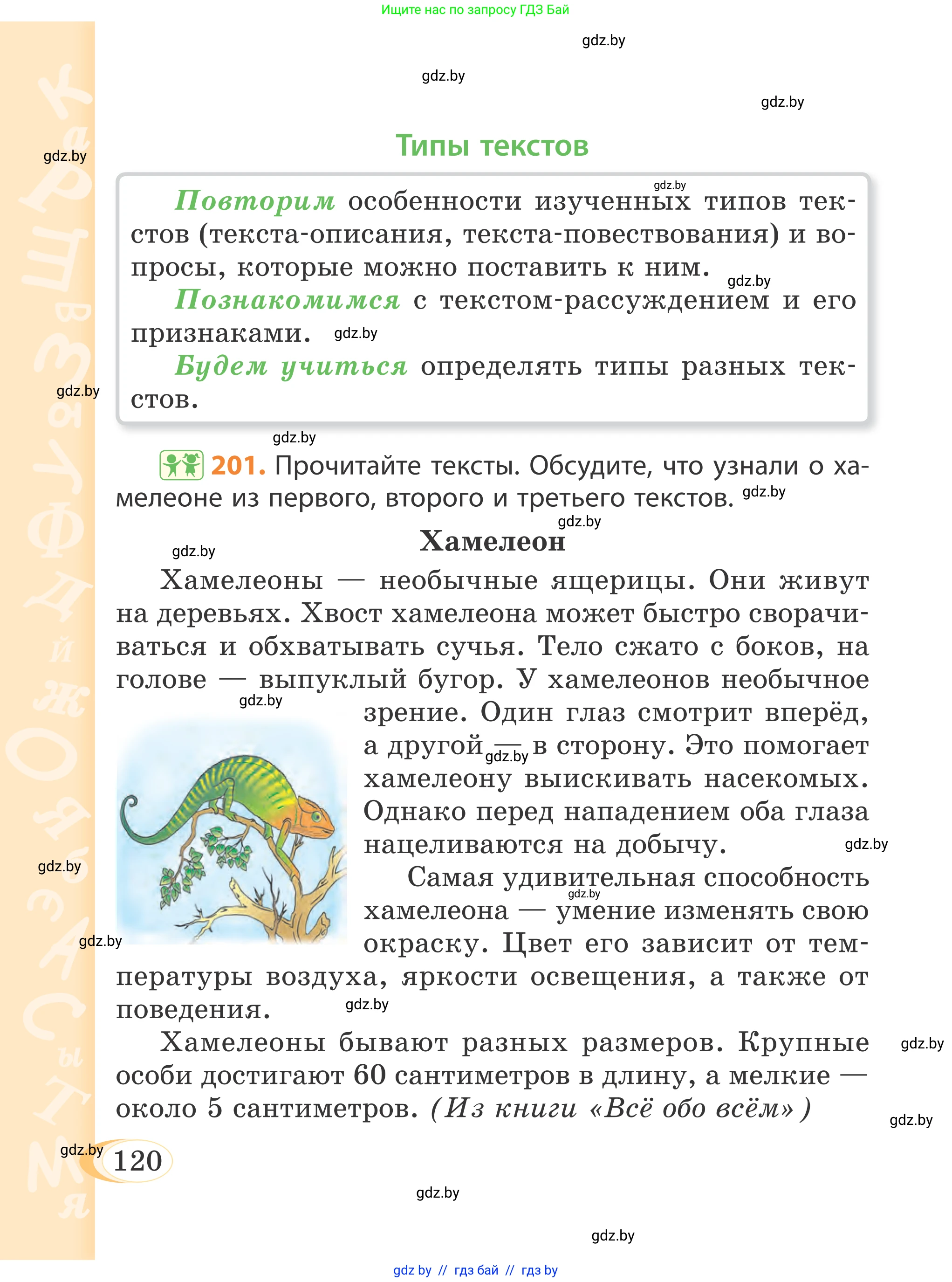 Русский язык, 4 класс Учебник, авторы: Антипова Маргарита Борисовна, Верниковская Алла Викторовна, Грабчикова Елена Самарьевна, издательство Академия образования, Минск, 2024, оранжевого цвета, Часть 2, страница 120