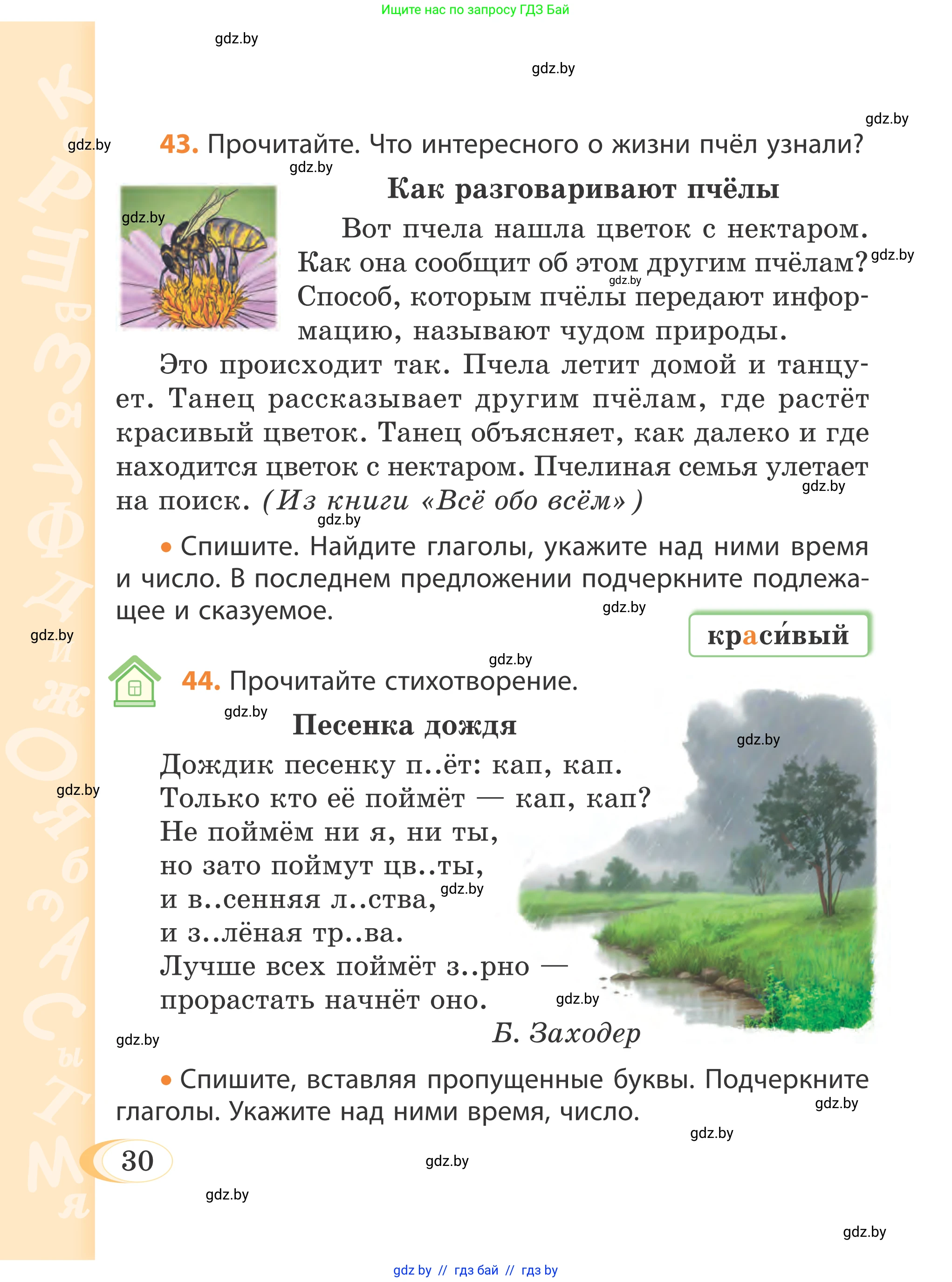 Русский язык, 4 класс Учебник, авторы: Антипова Маргарита Борисовна, Верниковская Алла Викторовна, Грабчикова Елена Самарьевна, издательство Академия образования, Минск, 2024, оранжевого цвета, Часть 2, страница 30