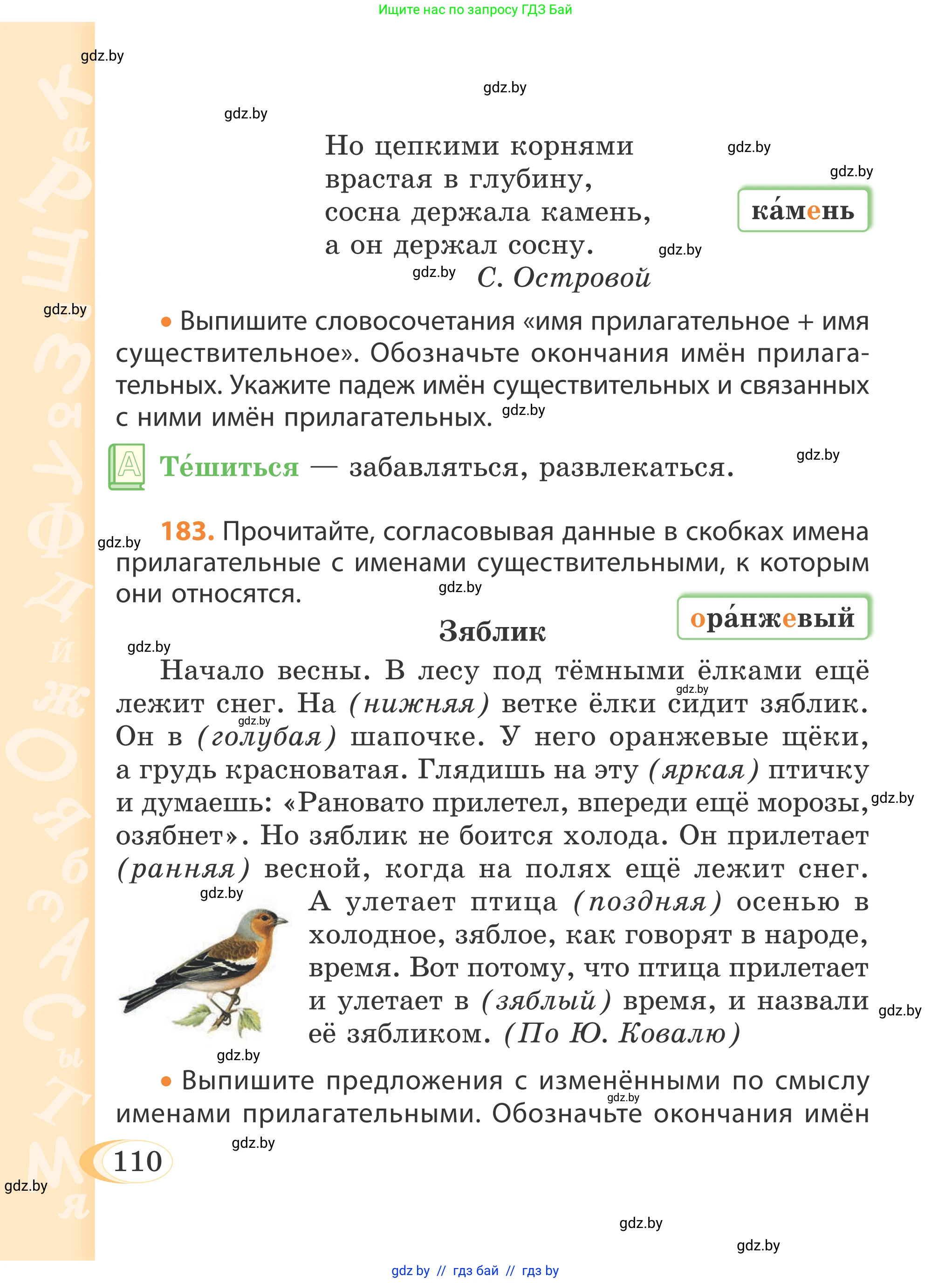 Русский язык, 4 класс Учебник, авторы: Антипова Маргарита Борисовна, Верниковская Алла Викторовна, Грабчикова Елена Самарьевна, издательство Академия образования, Минск, 2024, оранжевого цвета, Часть 1, страница 110
