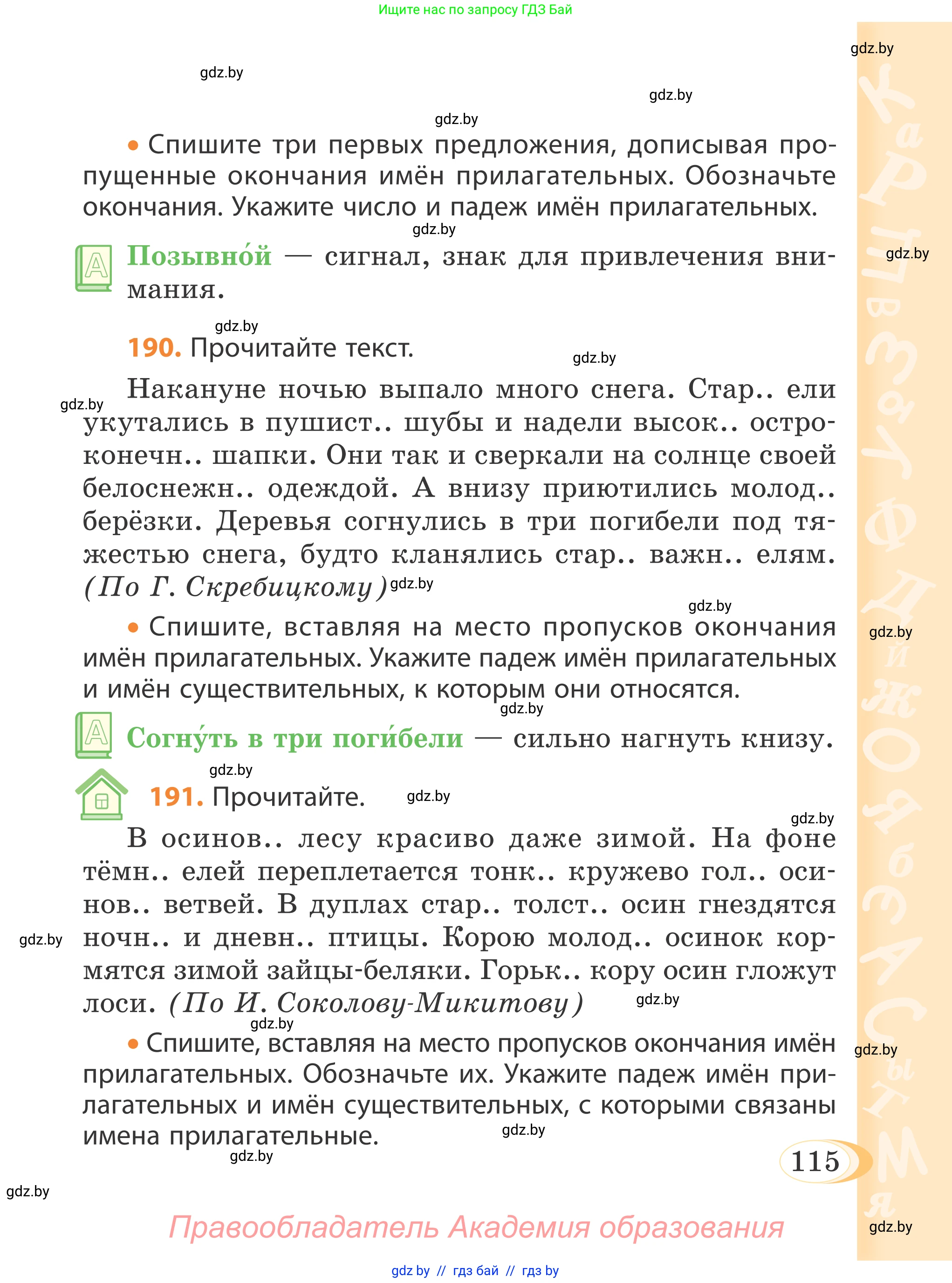 Русский язык, 4 класс Учебник, авторы: Антипова Маргарита Борисовна, Верниковская Алла Викторовна, Грабчикова Елена Самарьевна, издательство Академия образования, Минск, 2024, оранжевого цвета, Часть 1, страница 115