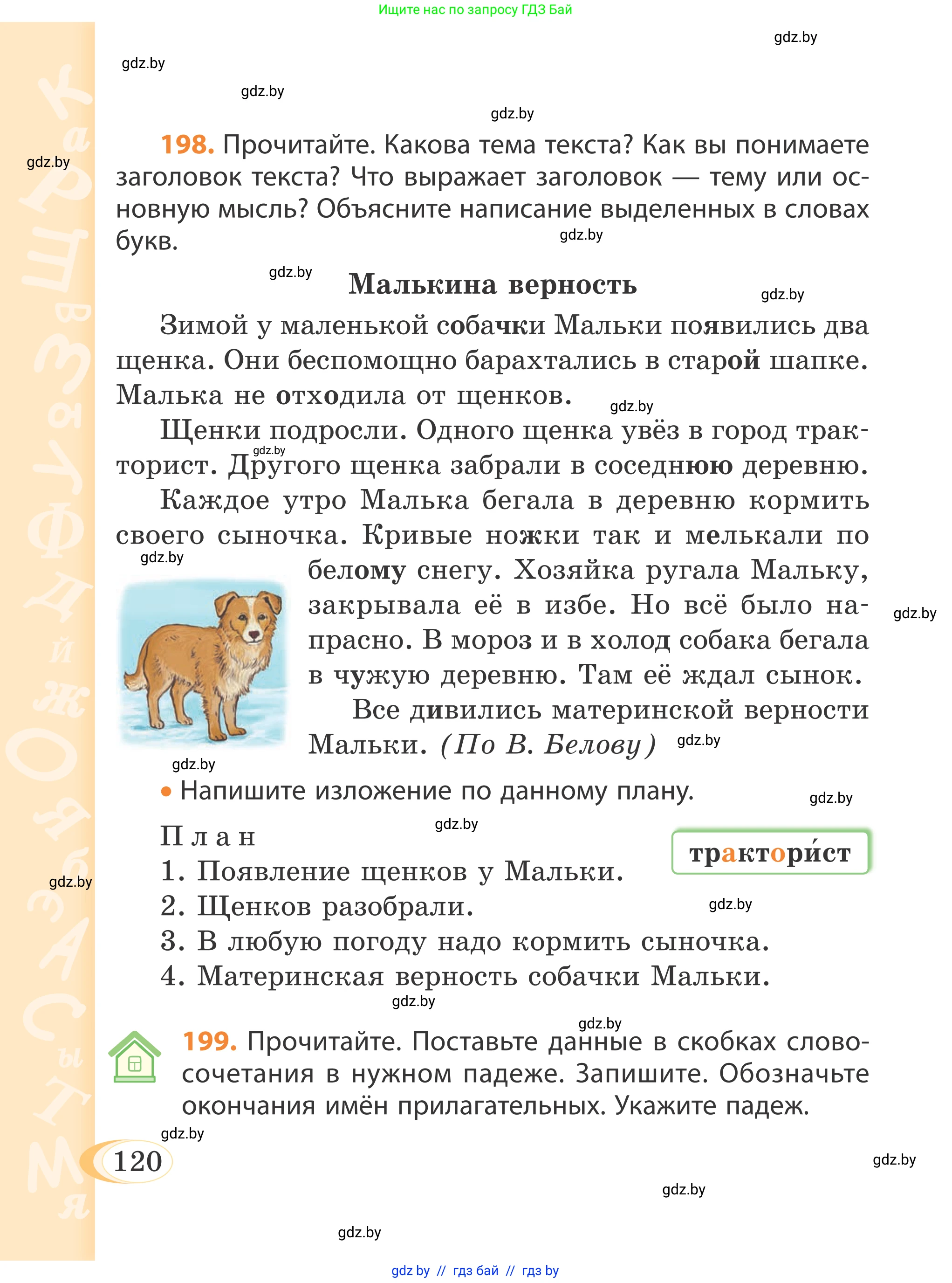 Русский язык, 4 класс Учебник, авторы: Антипова Маргарита Борисовна, Верниковская Алла Викторовна, Грабчикова Елена Самарьевна, издательство Академия образования, Минск, 2024, оранжевого цвета, Часть 1, страница 120