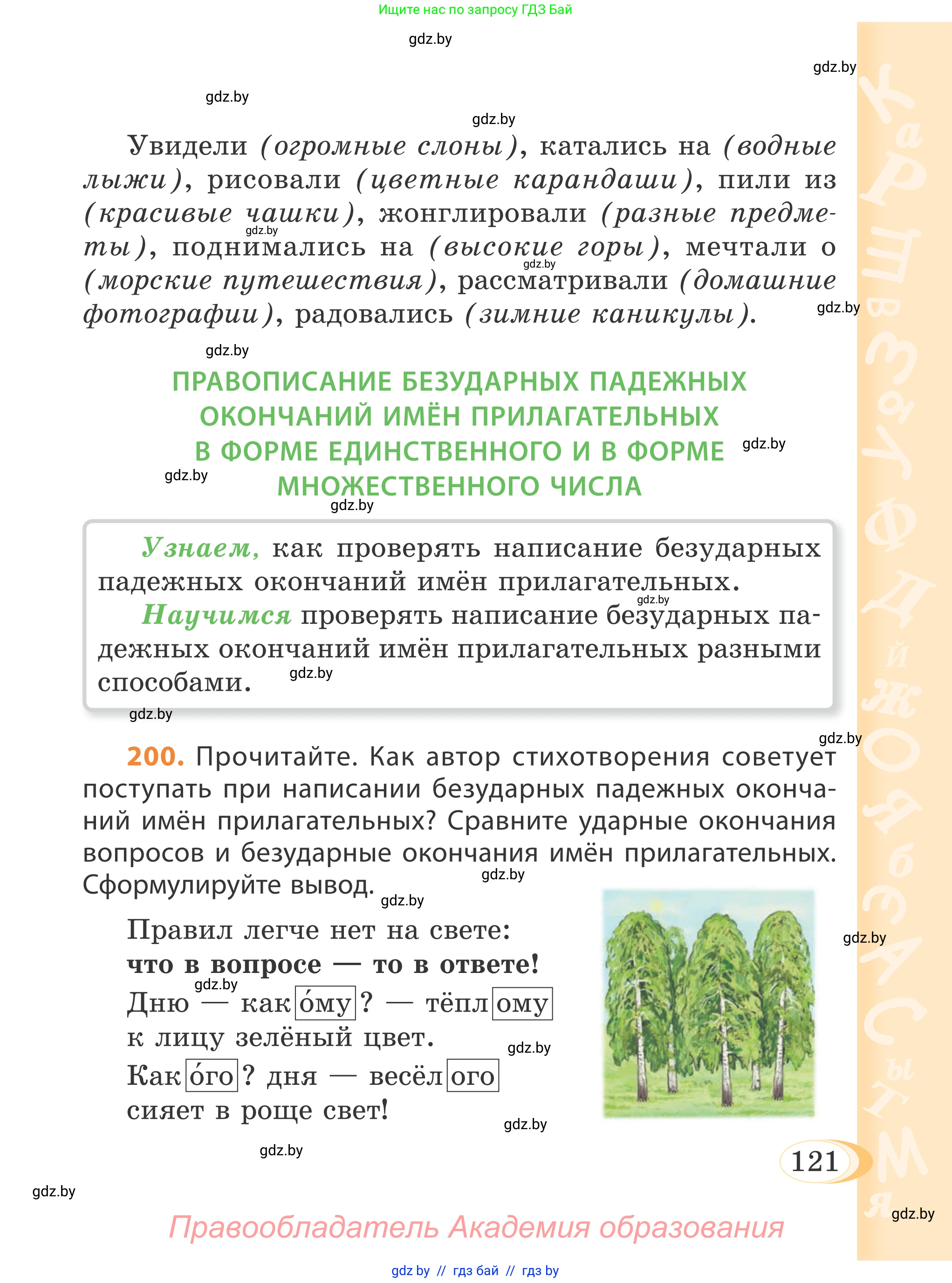 Русский язык, 4 класс Учебник, авторы: Антипова Маргарита Борисовна, Верниковская Алла Викторовна, Грабчикова Елена Самарьевна, издательство Академия образования, Минск, 2024, оранжевого цвета, Часть 1, страница 121