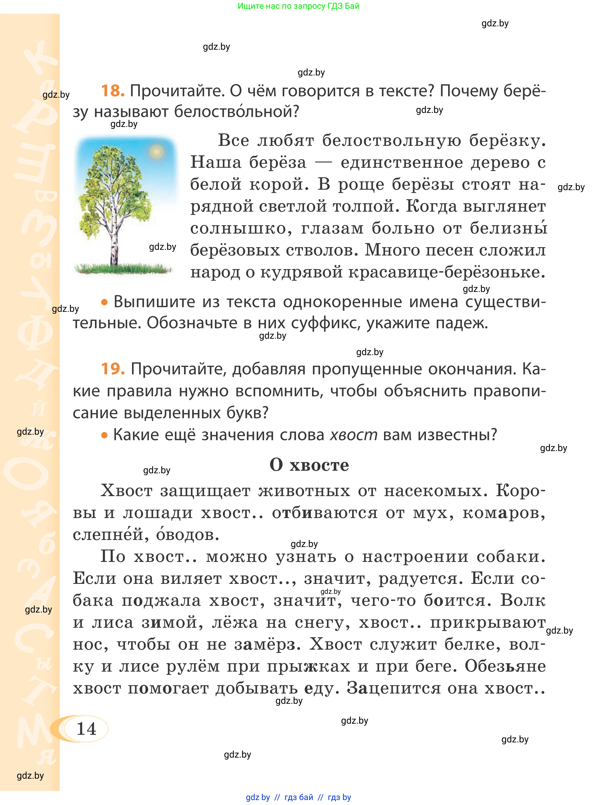 Русский язык, 4 класс Учебник, авторы: Антипова Маргарита Борисовна, Верниковская Алла Викторовна, Грабчикова Елена Самарьевна, издательство Академия образования, Минск, 2024, оранжевого цвета, Часть 1, страница 14
