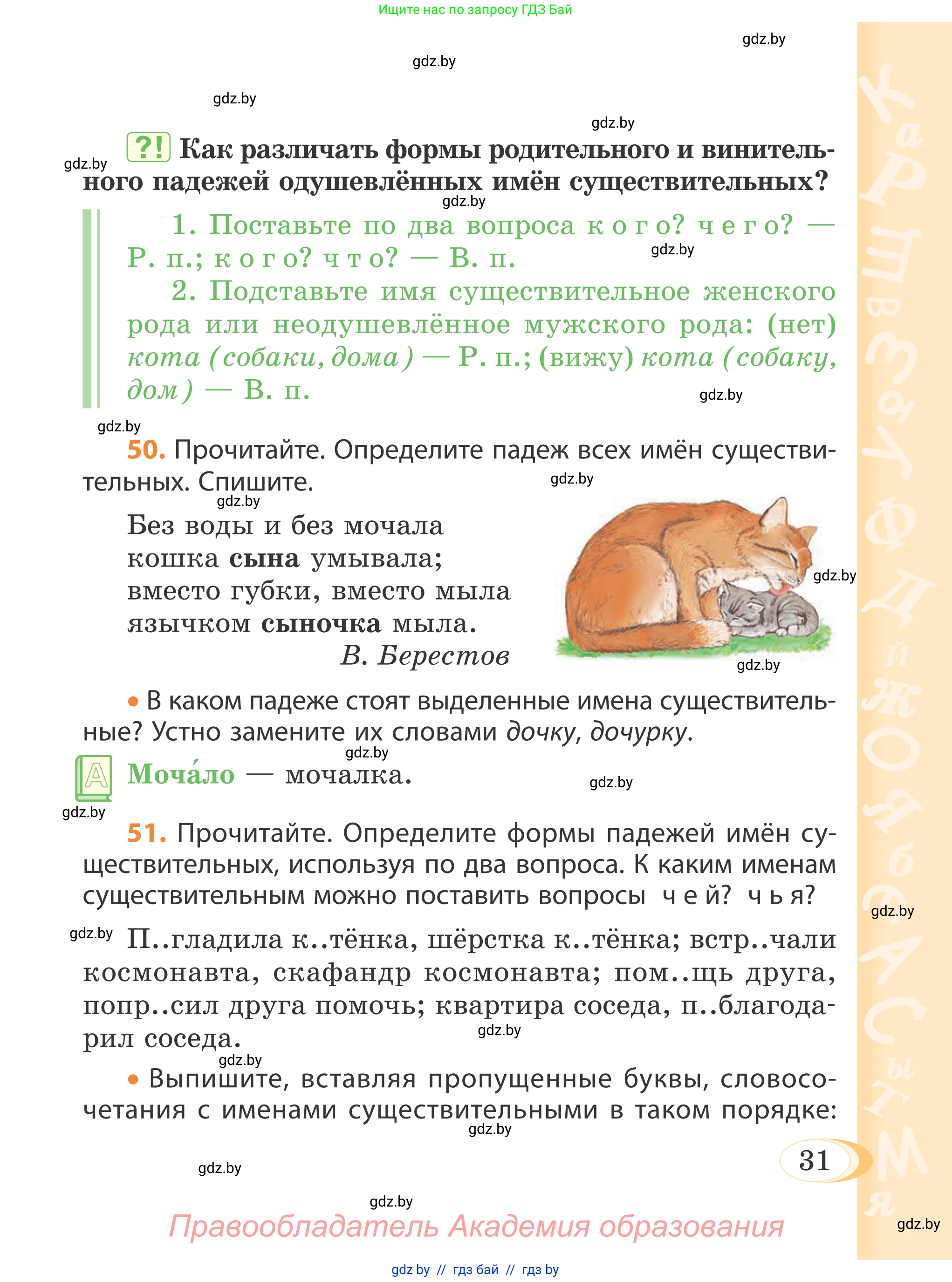 Русский язык, 4 класс Учебник, авторы: Антипова Маргарита Борисовна, Верниковская Алла Викторовна, Грабчикова Елена Самарьевна, издательство Академия образования, Минск, 2024, оранжевого цвета, Часть 1, страница 31