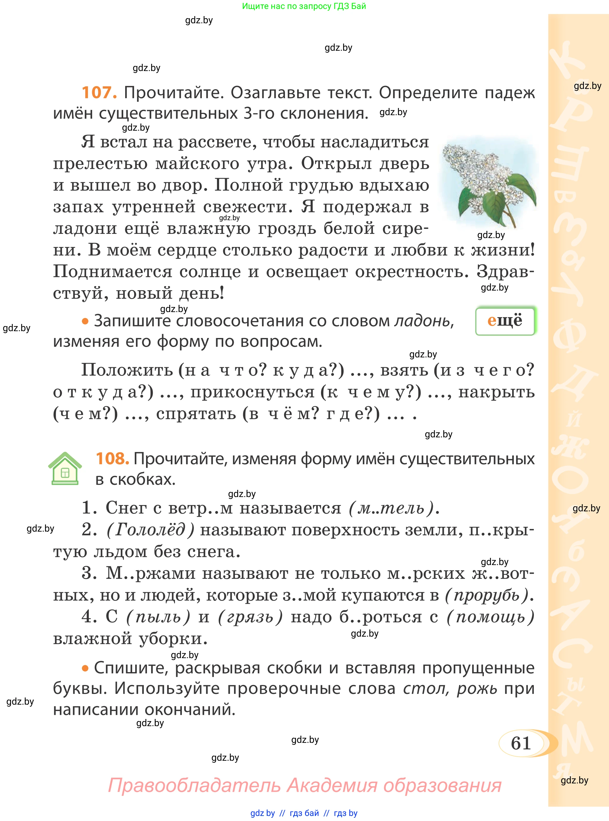 Русский язык, 4 класс Учебник, авторы: Антипова Маргарита Борисовна, Верниковская Алла Викторовна, Грабчикова Елена Самарьевна, издательство Академия образования, Минск, 2024, оранжевого цвета, Часть 1, страница 61