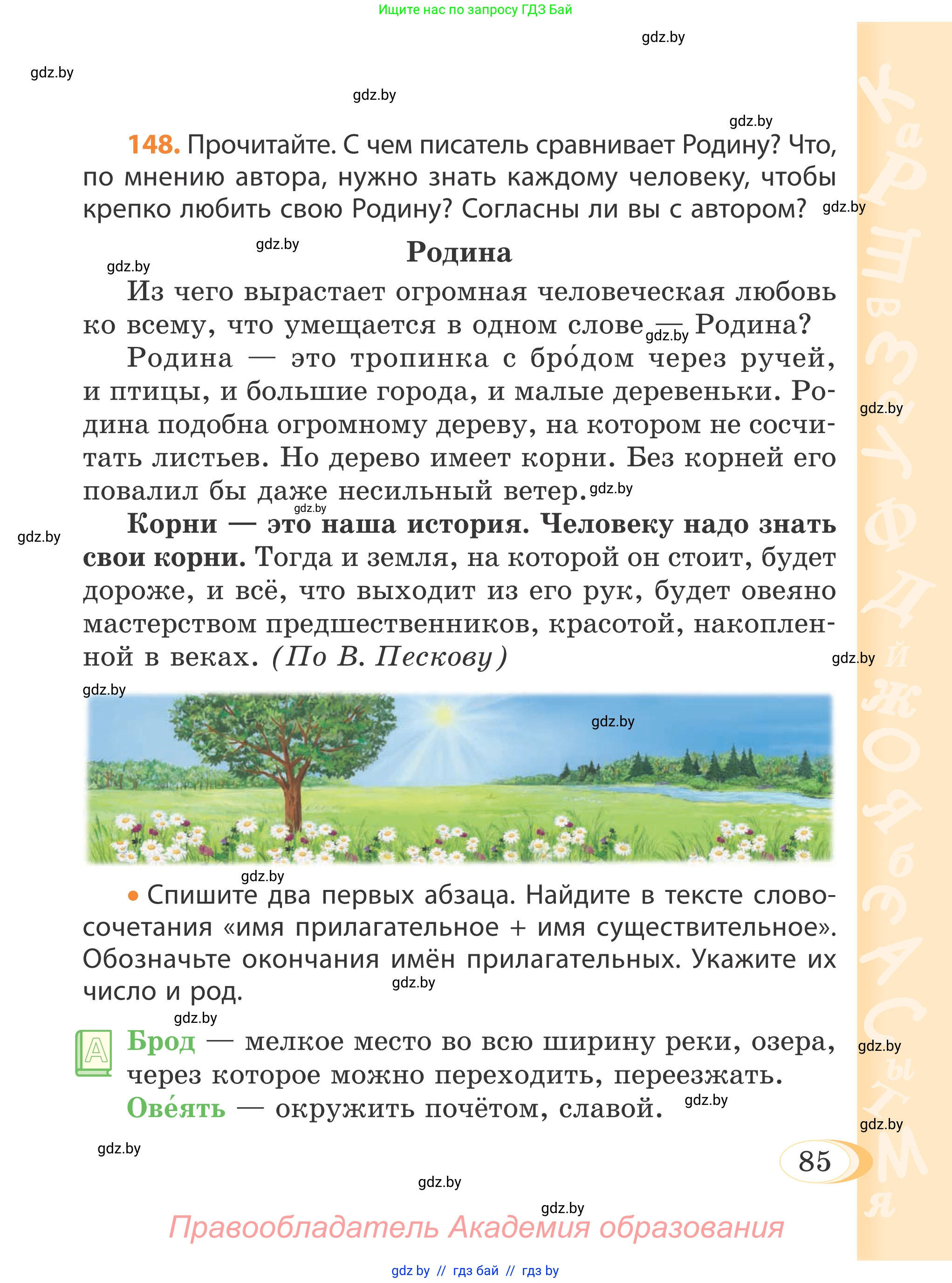 Русский язык, 4 класс Учебник, авторы: Антипова Маргарита Борисовна, Верниковская Алла Викторовна, Грабчикова Елена Самарьевна, издательство Академия образования, Минск, 2024, оранжевого цвета, Часть 1, страница 85
