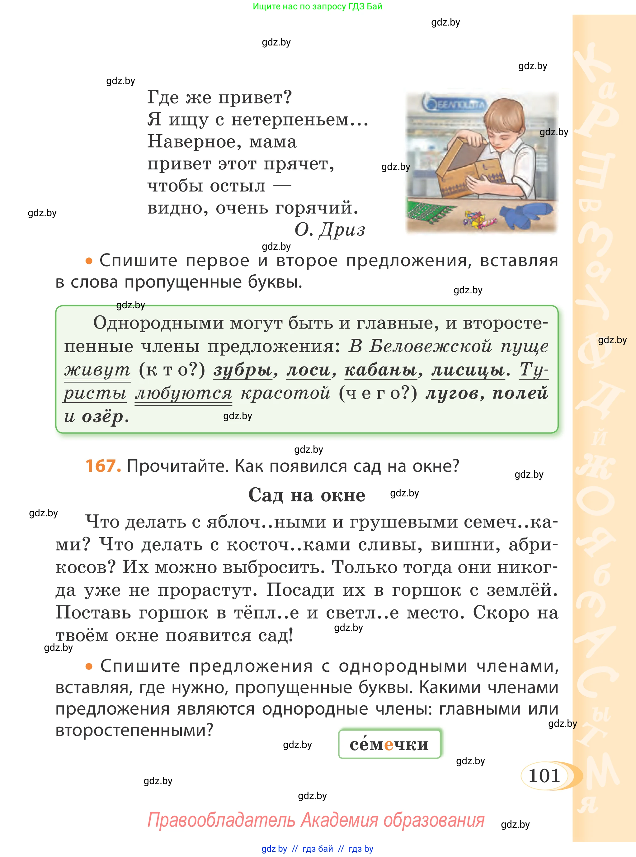 Русский язык, 4 класс Учебник, авторы: Антипова Маргарита Борисовна, Верниковская Алла Викторовна, Грабчикова Елена Самарьевна, издательство Академия образования, Минск, 2024, оранжевого цвета, Часть 2, страница 101