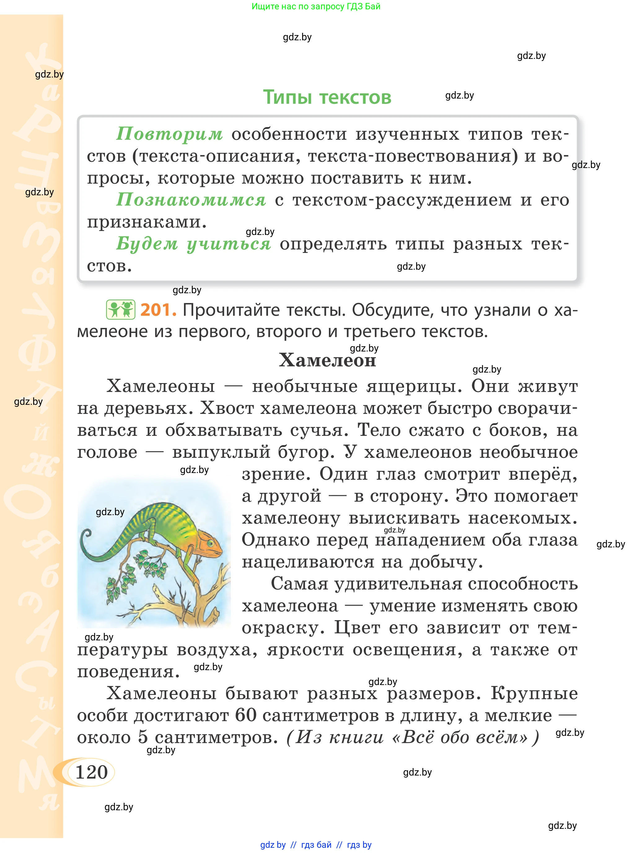 Русский язык, 4 класс Учебник, авторы: Антипова Маргарита Борисовна, Верниковская Алла Викторовна, Грабчикова Елена Самарьевна, издательство Академия образования, Минск, 2024, оранжевого цвета, Часть 2, страница 120
