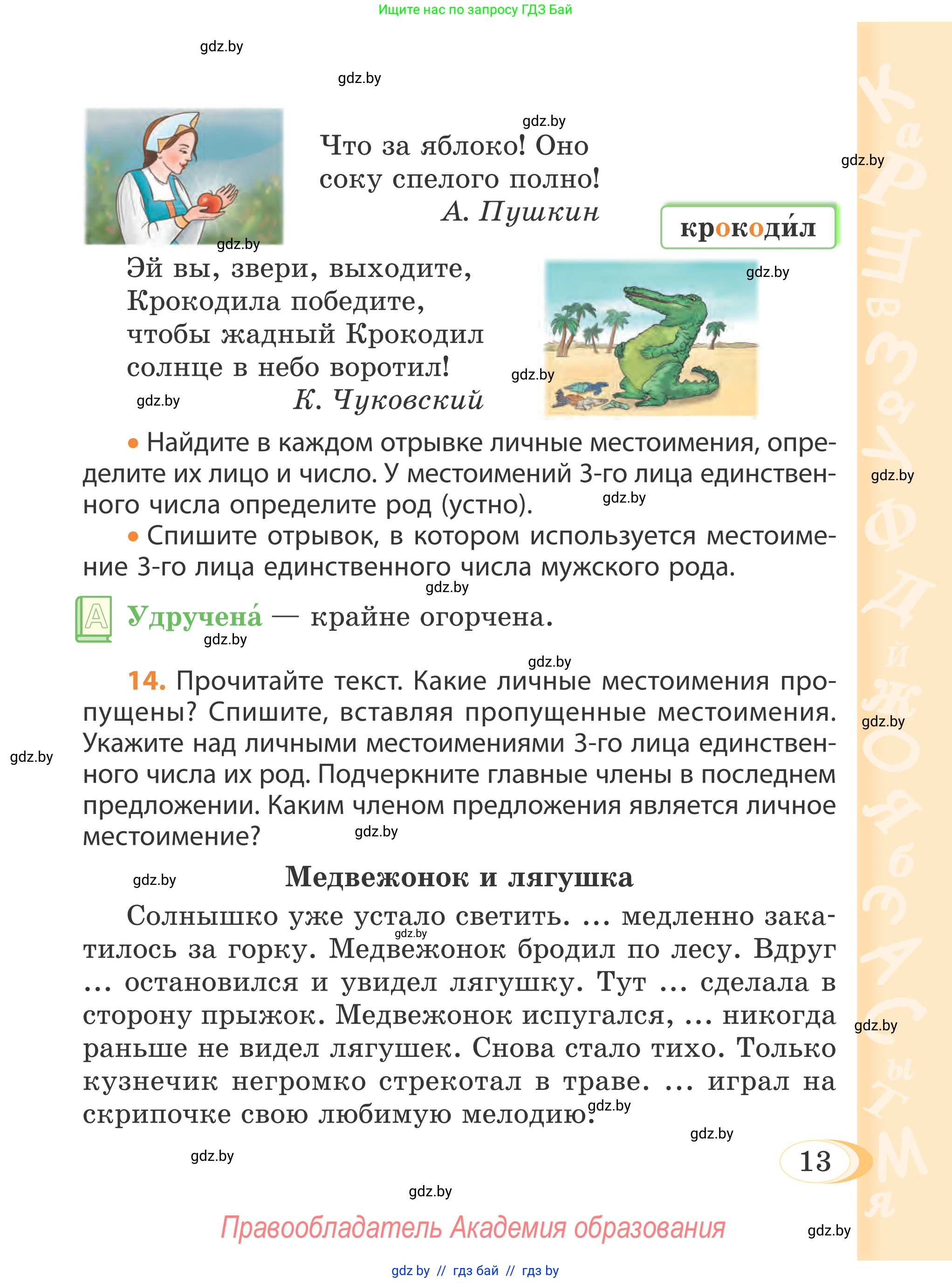 Русский язык, 4 класс Учебник, авторы: Антипова Маргарита Борисовна, Верниковская Алла Викторовна, Грабчикова Елена Самарьевна, издательство Академия образования, Минск, 2024, оранжевого цвета, Часть 2, страница 13