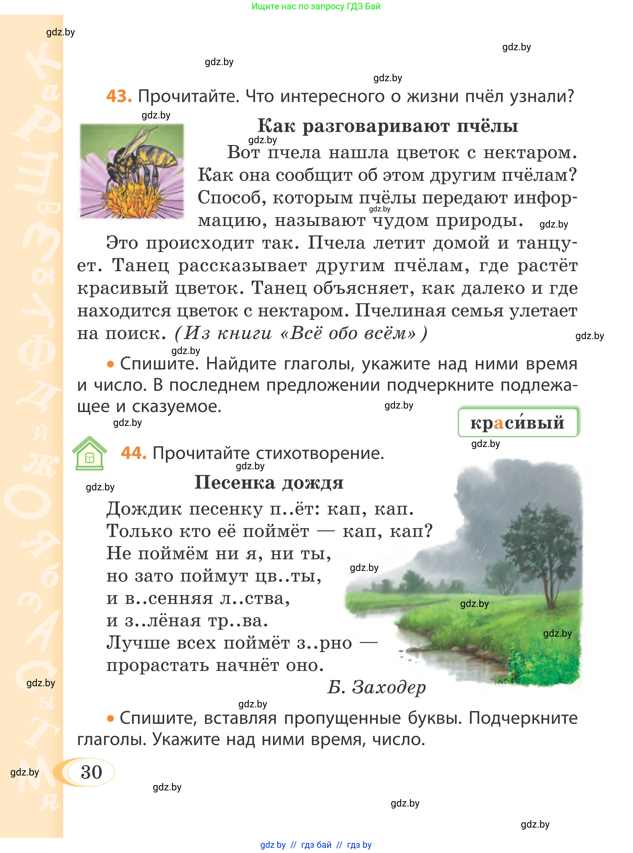 Русский язык, 4 класс Учебник, авторы: Антипова Маргарита Борисовна, Верниковская Алла Викторовна, Грабчикова Елена Самарьевна, издательство Академия образования, Минск, 2024, оранжевого цвета, Часть 2, страница 30
