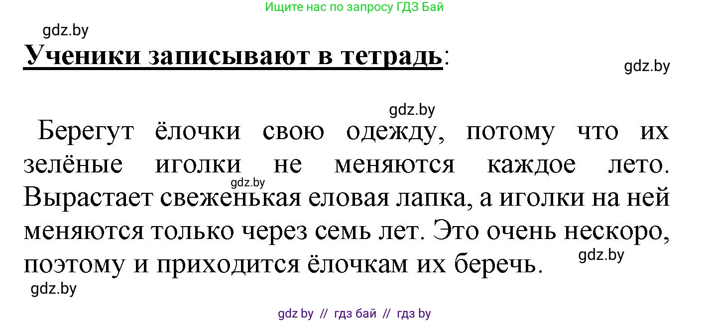 Русский язык, 4 класс Учебник, авторы: Антипова Маргарита Борисовна, Верниковская Алла Викторовна, Грабчикова Елена Самарьевна, издательство Академия образования, Минск, 2024, оранжевого цвета, Часть 2, страница 128, номер 210, Решение (продолжение 2)