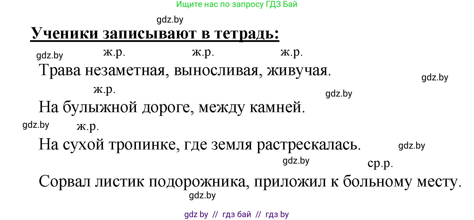 Русский язык, 4 класс Учебник, авторы: Антипова Маргарита Борисовна, Верниковская Алла Викторовна, Грабчикова Елена Самарьевна, издательство Академия образования, Минск, 2024, оранжевого цвета, Часть 1, страница 91, номер 156, Решение (продолжение 2)