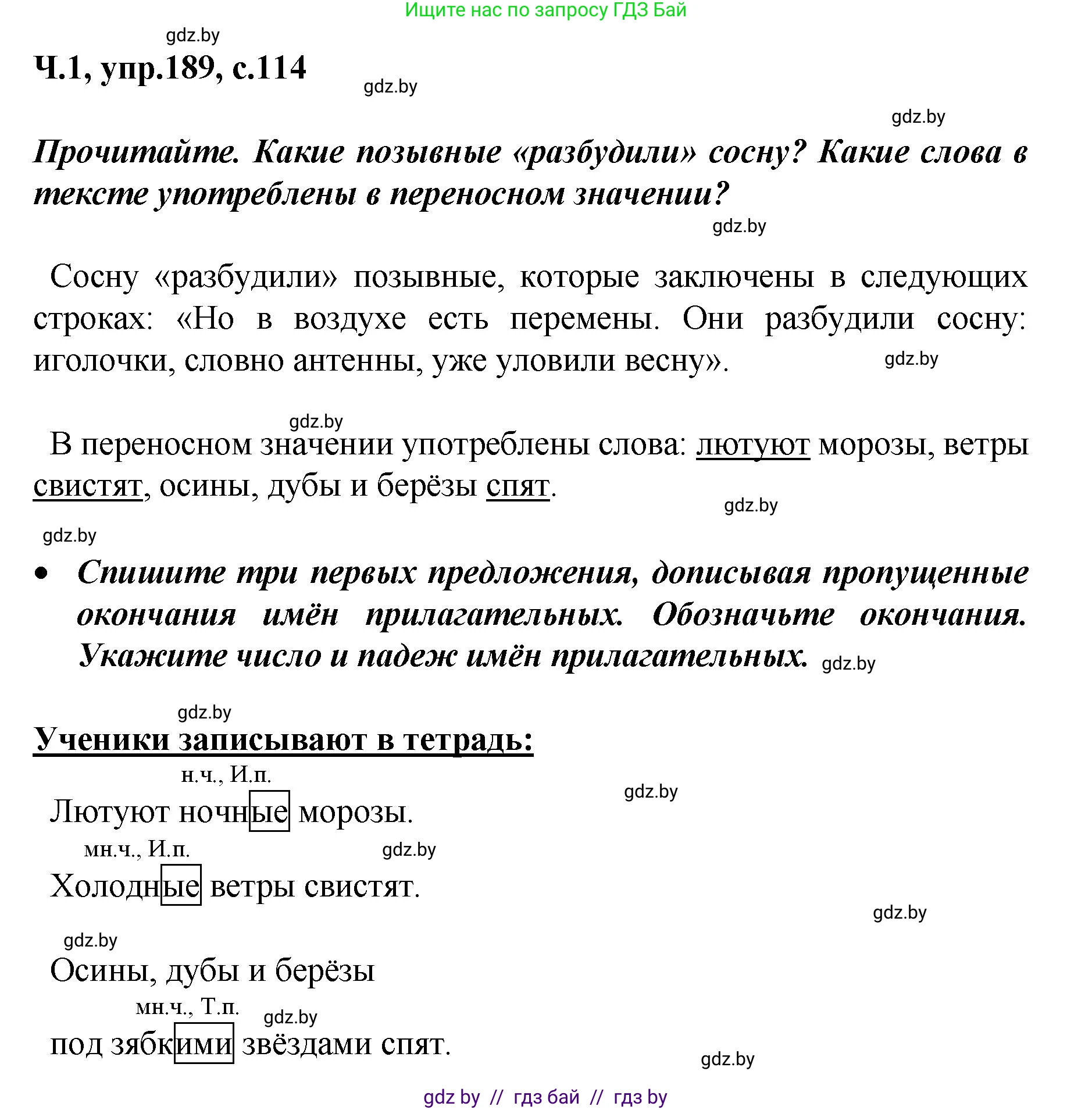 Русский язык, 4 класс Учебник, авторы: Антипова Маргарита Борисовна, Верниковская Алла Викторовна, Грабчикова Елена Самарьевна, издательство Академия образования, Минск, 2024, оранжевого цвета, Часть 1, страница 114, номер 189, Решение