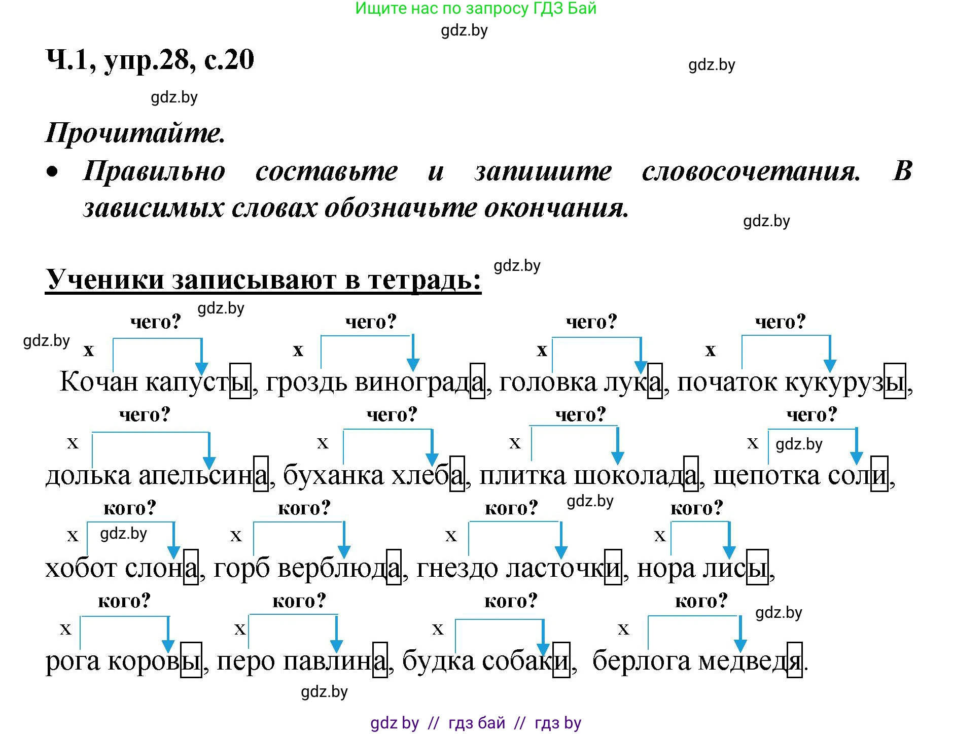 Русский язык, 4 класс Учебник, авторы: Антипова Маргарита Борисовна, Верниковская Алла Викторовна, Грабчикова Елена Самарьевна, издательство Академия образования, Минск, 2024, оранжевого цвета, Часть 1, страница 20, номер 28, Решение