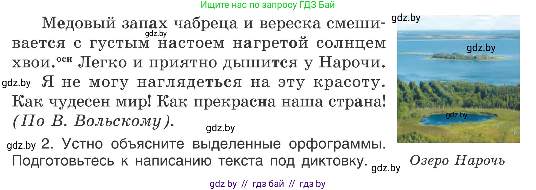 Русский язык, 5 класс Учебник, авторы: Мурина Лариса Александровна, Игнатович Татьяна Владимировна, Жадейко Жанна Фёдоровна, издательство Академия образования, Минск, 2025, голубого цвета, Часть 1, страница 66, номер 107, Условие (продолжение 2)