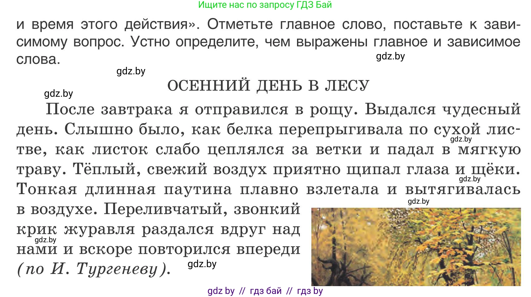 Русский язык, 5 класс Учебник, авторы: Мурина Лариса Александровна, Игнатович Татьяна Владимировна, Жадейко Жанна Фёдоровна, издательство Академия образования, Минск, 2025, голубого цвета, Часть 1, страница 75, номер 123, Условие (продолжение 2)