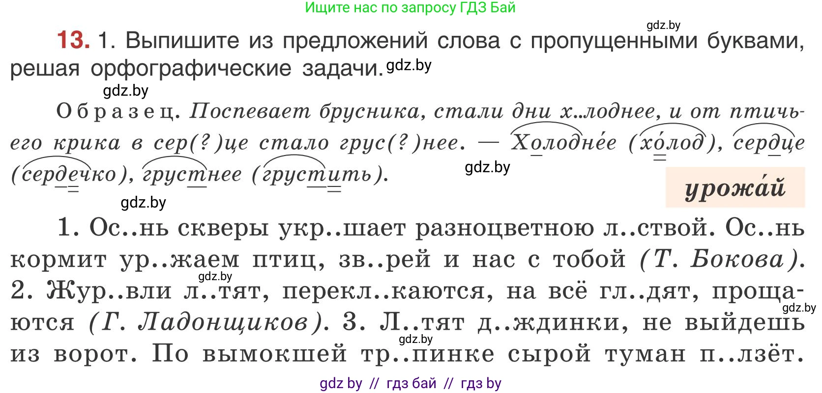 Русский язык, 5 класс Учебник, авторы: Мурина Лариса Александровна, Игнатович Татьяна Владимировна, Жадейко Жанна Фёдоровна, издательство Академия образования, Минск, 2025, голубого цвета, Часть 1, страница 14, номер 13, Условие
