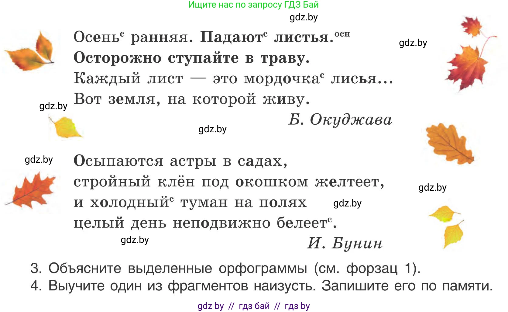 Русский язык, 5 класс Учебник, авторы: Мурина Лариса Александровна, Игнатович Татьяна Владимировна, Жадейко Жанна Фёдоровна, издательство Академия образования, Минск, 2025, голубого цвета, Часть 1, страница 16, номер 17, Условие (продолжение 2)