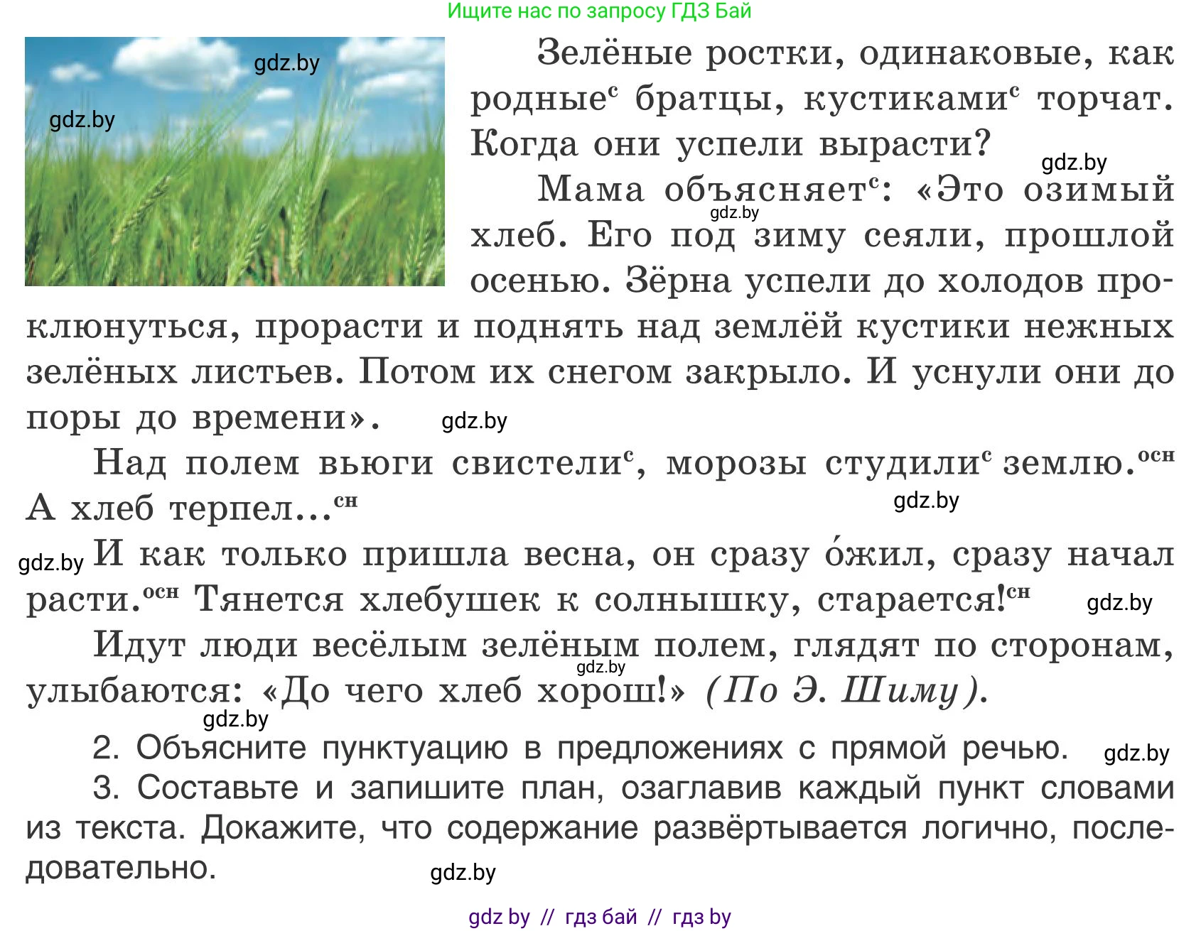 Русский язык, 5 класс Учебник, авторы: Мурина Лариса Александровна, Игнатович Татьяна Владимировна, Жадейко Жанна Фёдоровна, издательство Академия образования, Минск, 2025, голубого цвета, Часть 1, страница 121, номер 213, Условие (продолжение 2)