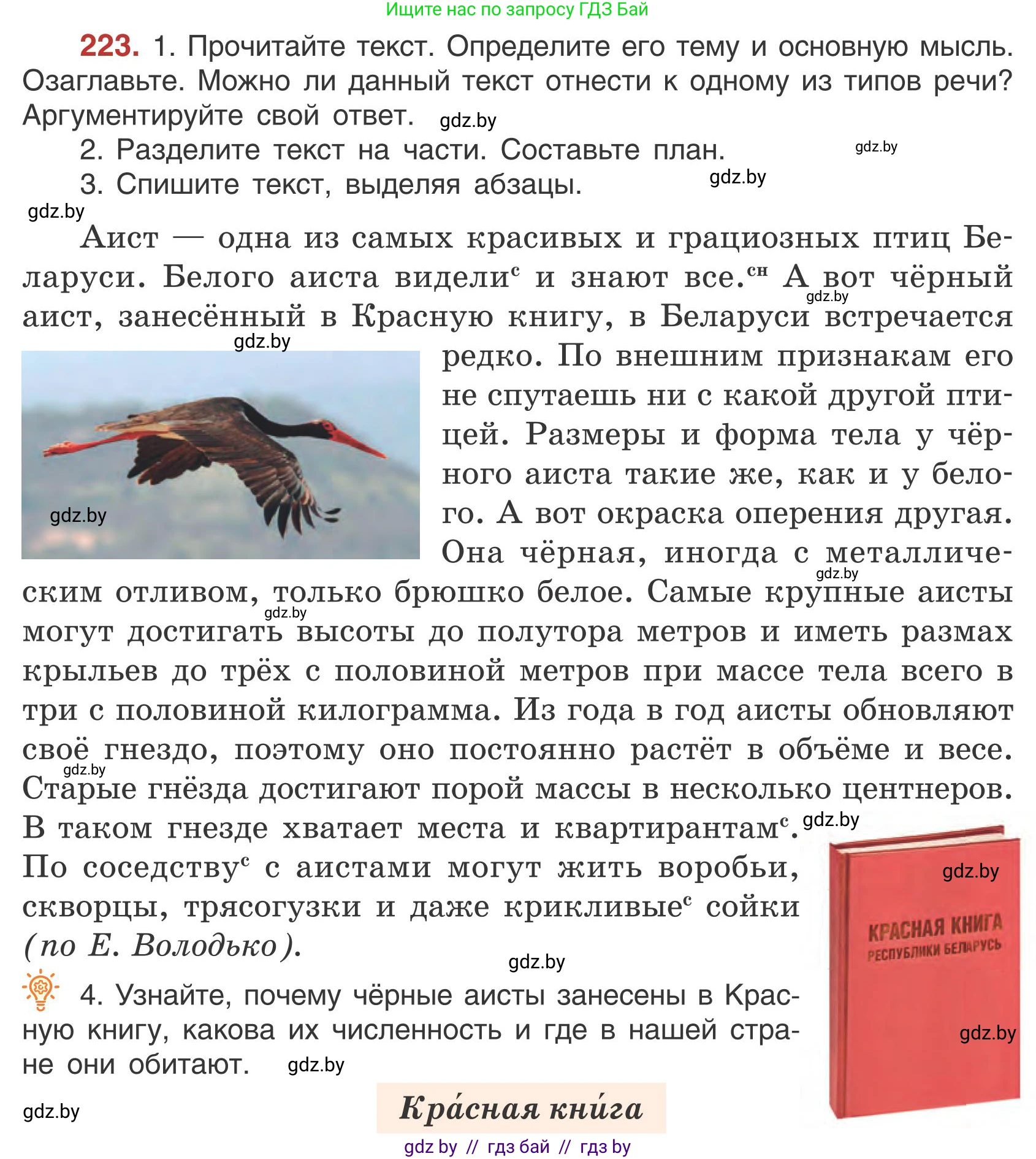 Русский язык, 5 класс Учебник, авторы: Мурина Лариса Александровна, Игнатович Татьяна Владимировна, Жадейко Жанна Фёдоровна, издательство Академия образования, Минск, 2025, голубого цвета, Часть 1, страница 130, номер 223, Условие
