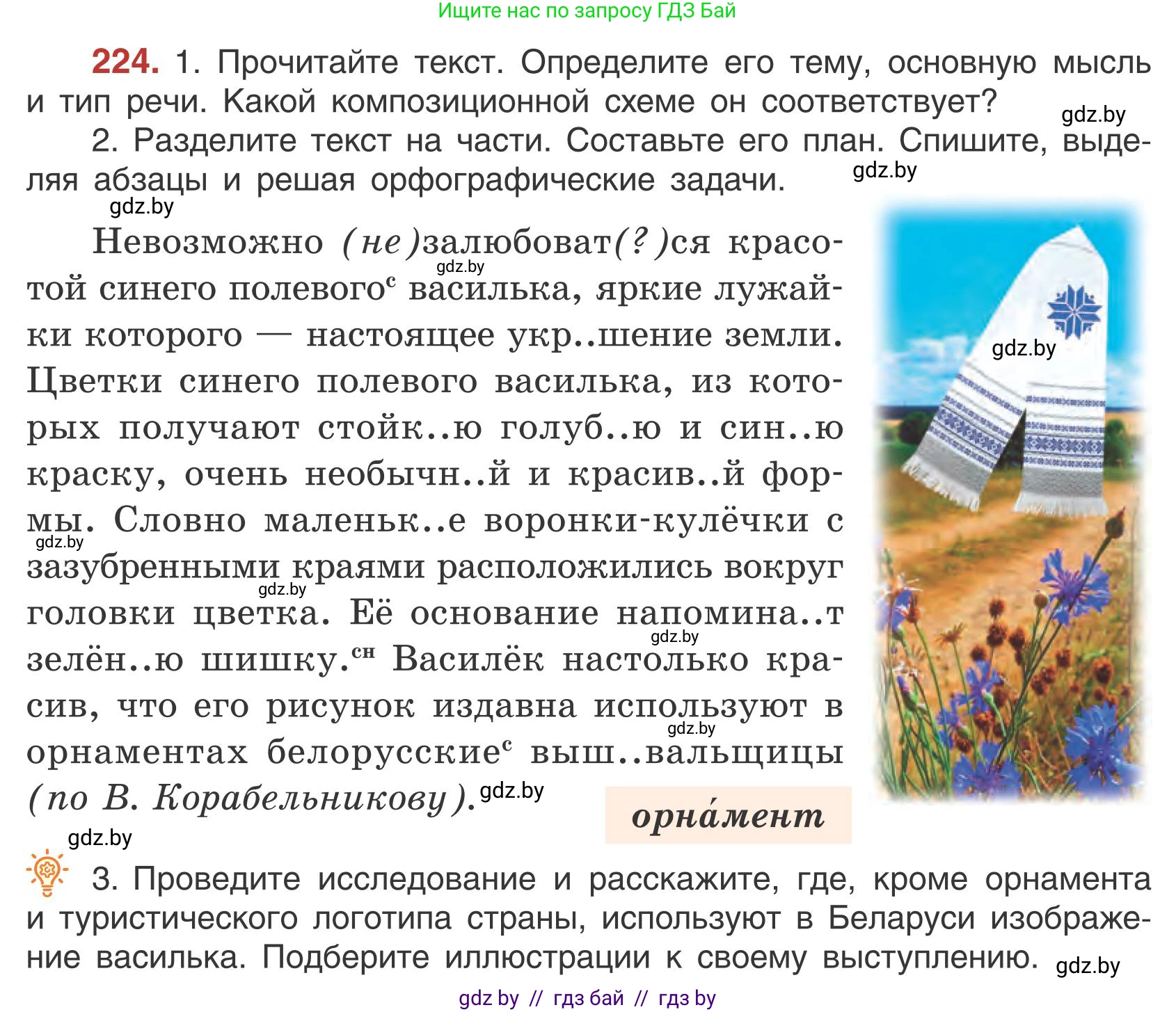Русский язык, 5 класс Учебник, авторы: Мурина Лариса Александровна, Игнатович Татьяна Владимировна, Жадейко Жанна Фёдоровна, издательство Академия образования, Минск, 2025, голубого цвета, Часть 1, страница 131, номер 224, Условие