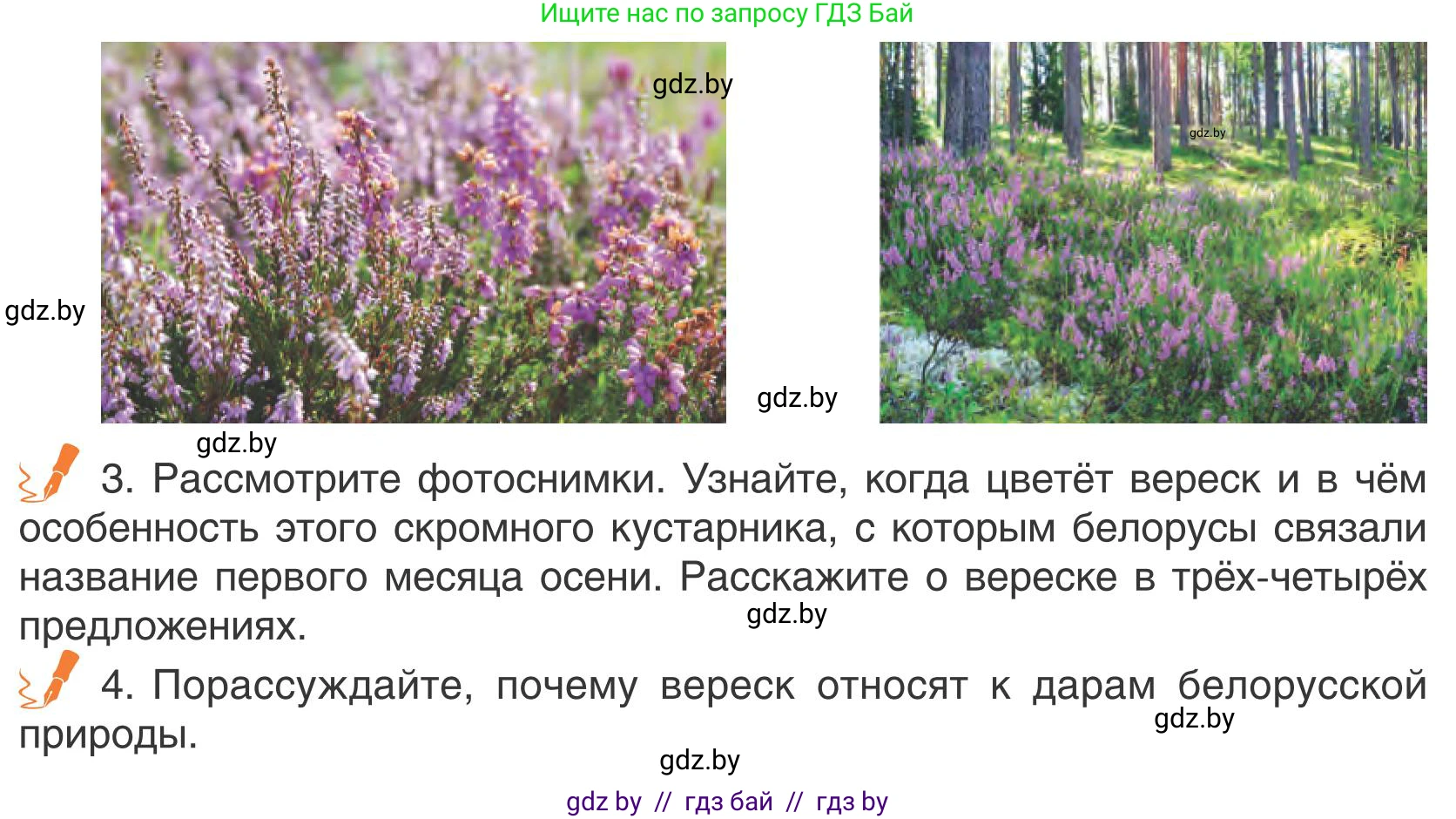 Русский язык, 5 класс Учебник, авторы: Мурина Лариса Александровна, Игнатович Татьяна Владимировна, Жадейко Жанна Фёдоровна, издательство Академия образования, Минск, 2025, голубого цвета, Часть 1, страница 8, номер 3, Условие (продолжение 2)