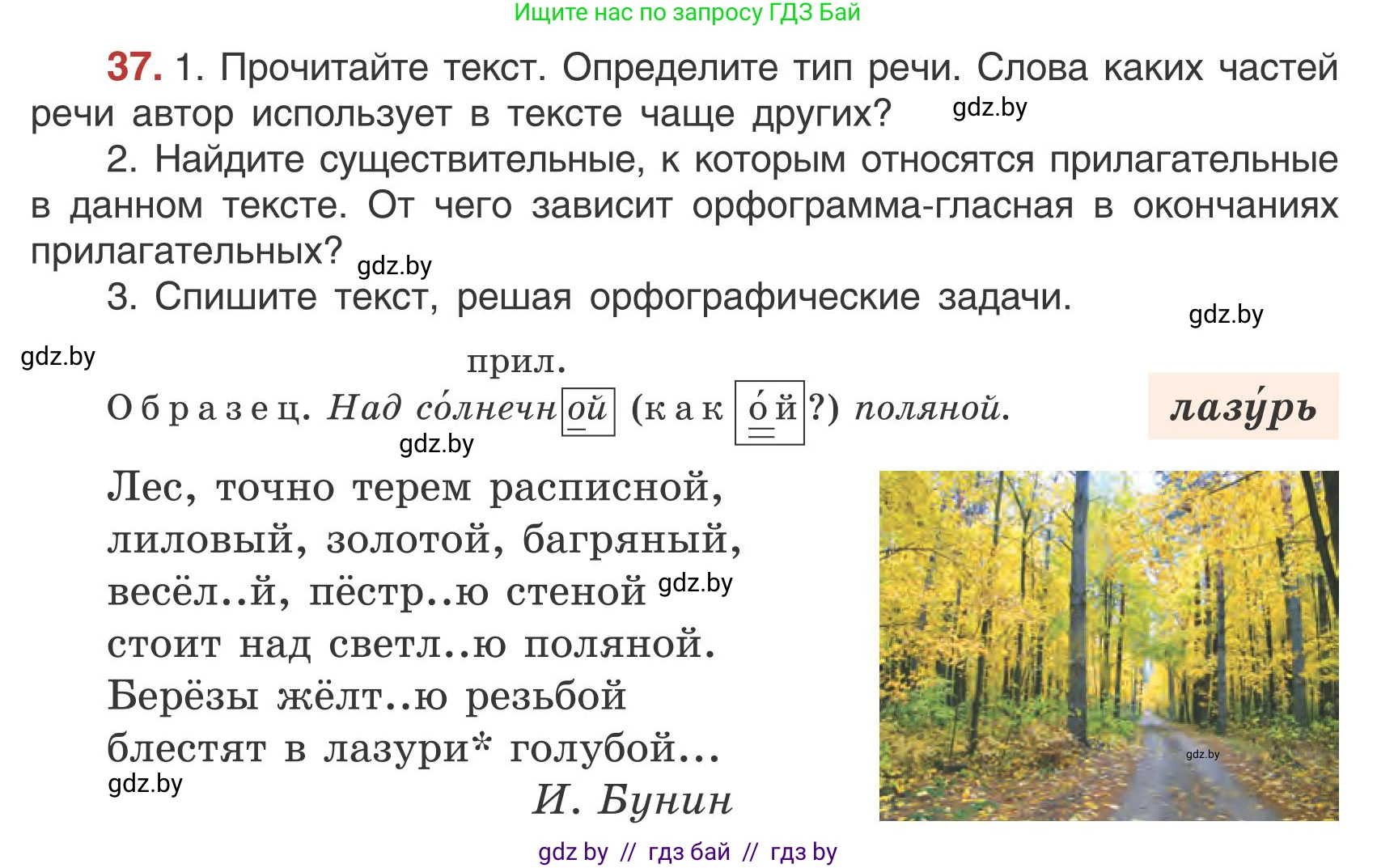 Русский язык, 5 класс Учебник, авторы: Мурина Лариса Александровна, Игнатович Татьяна Владимировна, Жадейко Жанна Фёдоровна, издательство Академия образования, Минск, 2025, голубого цвета, Часть 1, страница 27, номер 37, Условие