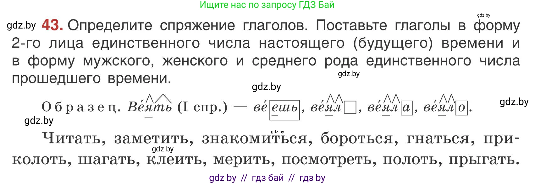Русский язык, 5 класс Учебник, авторы: Мурина Лариса Александровна, Игнатович Татьяна Владимировна, Жадейко Жанна Фёдоровна, издательство Академия образования, Минск, 2025, голубого цвета, Часть 1, страница 31, номер 43, Условие