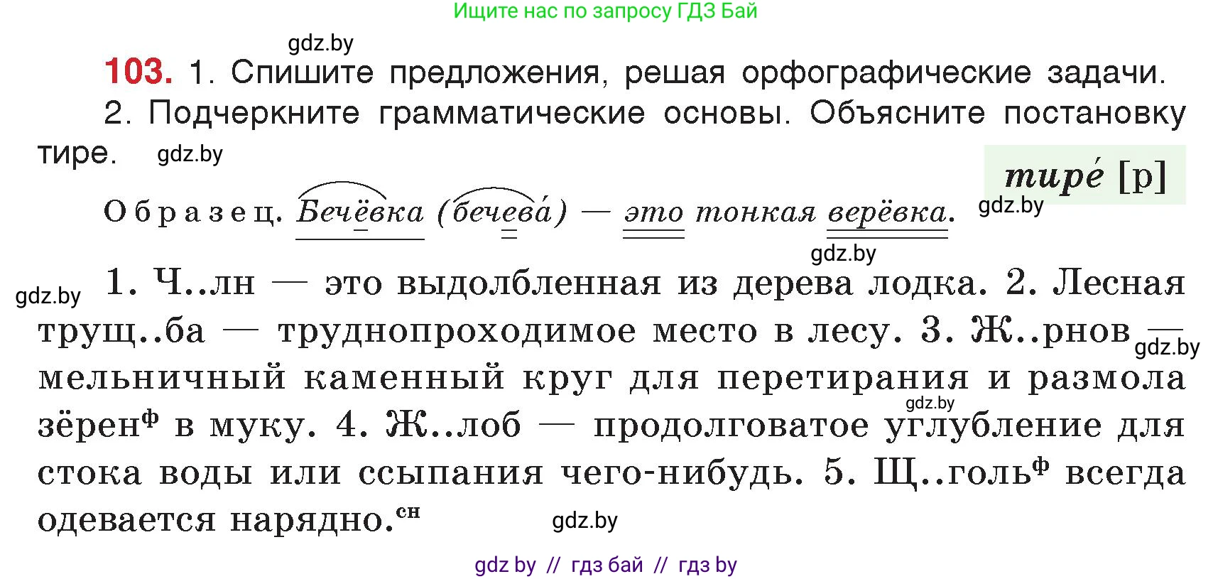 Русский язык, 5 класс Учебник, авторы: Мурина Лариса Александровна, Игнатович Татьяна Владимировна, Жадейко Жанна Фёдоровна, издательство Академия образования, Минск, 2025, голубого цвета, Часть 2, страница 56, номер 103, Условие