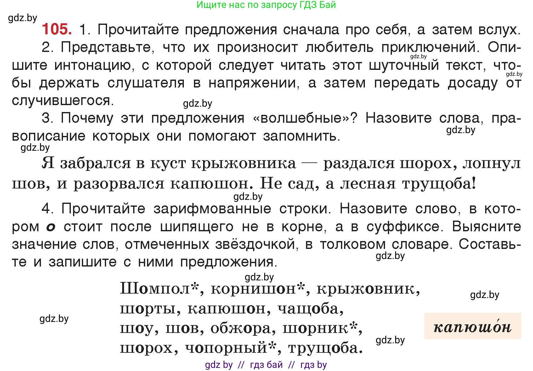 Русский язык, 5 класс Учебник, авторы: Мурина Лариса Александровна, Игнатович Татьяна Владимировна, Жадейко Жанна Фёдоровна, издательство Академия образования, Минск, 2025, голубого цвета, Часть 2, страница 57, номер 105, Условие
