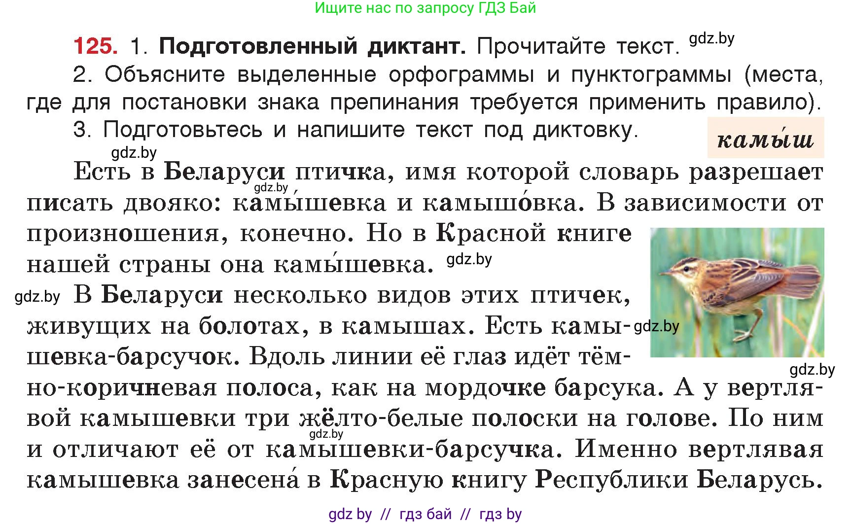 Русский язык, 5 класс Учебник, авторы: Мурина Лариса Александровна, Игнатович Татьяна Владимировна, Жадейко Жанна Фёдоровна, издательство Академия образования, Минск, 2025, голубого цвета, Часть 2, страница 67, номер 125, Условие