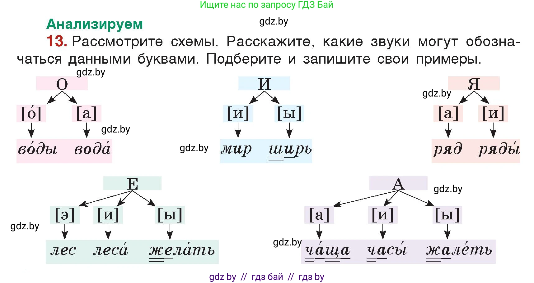Русский язык, 5 класс Учебник, авторы: Мурина Лариса Александровна, Игнатович Татьяна Владимировна, Жадейко Жанна Фёдоровна, издательство Академия образования, Минск, 2025, голубого цвета, Часть 2, страница 11, номер 13, Условие