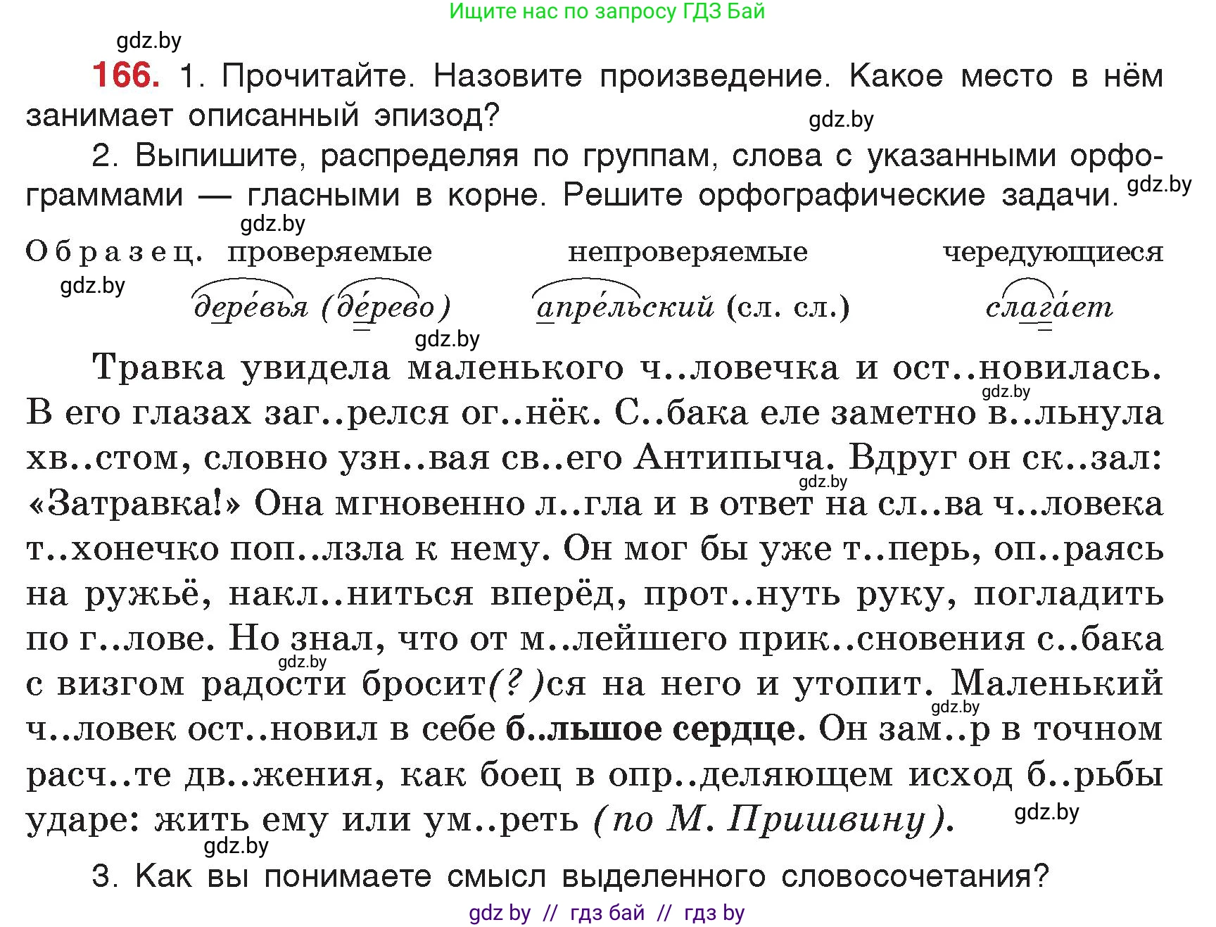 Русский язык, 5 класс Учебник, авторы: Мурина Лариса Александровна, Игнатович Татьяна Владимировна, Жадейко Жанна Фёдоровна, издательство Академия образования, Минск, 2025, голубого цвета, Часть 2, страница 84, номер 166, Условие