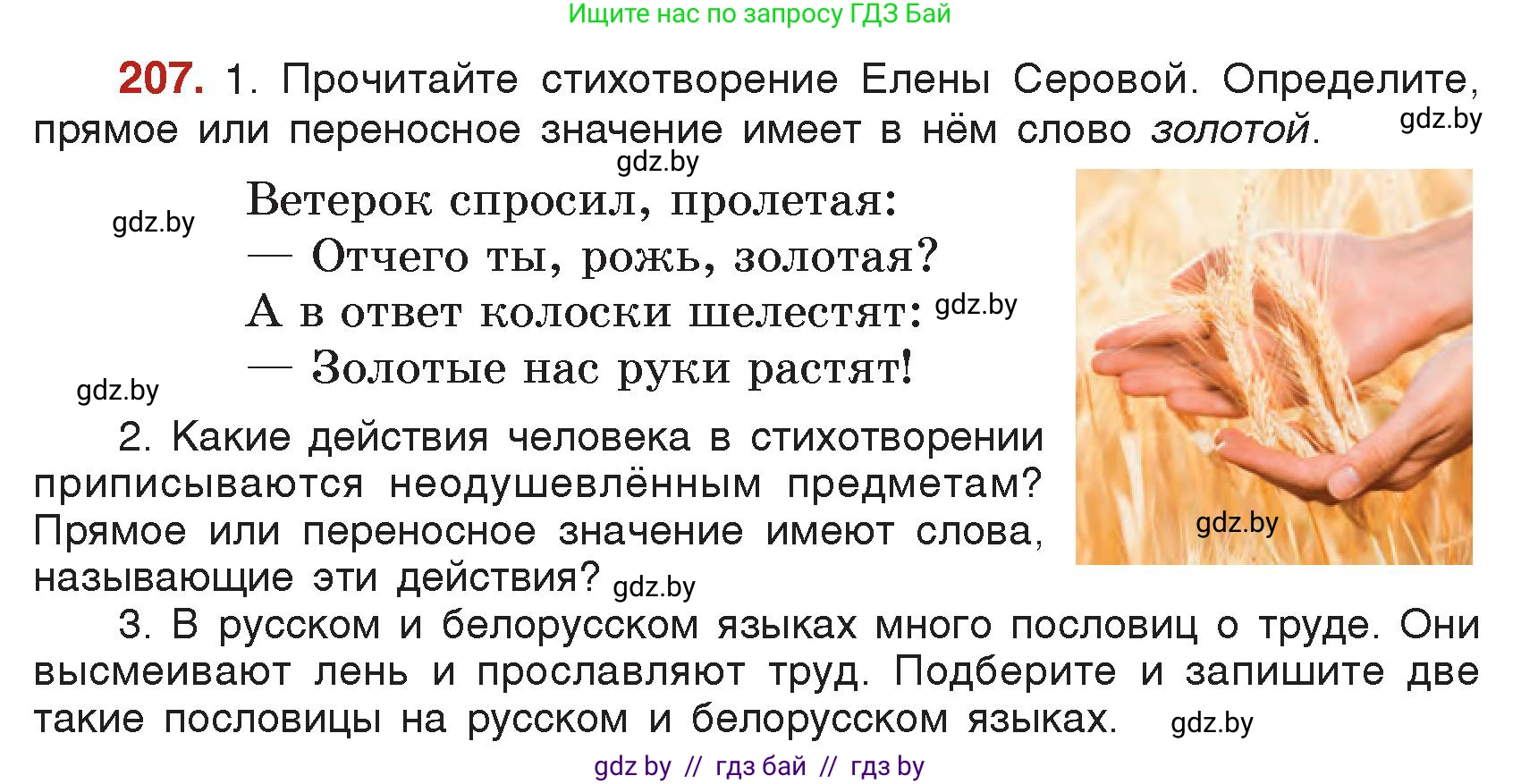 Русский язык, 5 класс Учебник, авторы: Мурина Лариса Александровна, Игнатович Татьяна Владимировна, Жадейко Жанна Фёдоровна, издательство Академия образования, Минск, 2025, голубого цвета, Часть 2, страница 103, номер 207, Условие
