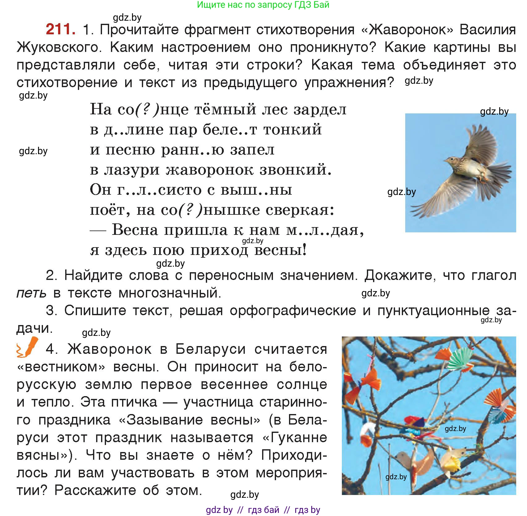 Русский язык, 5 класс Учебник, авторы: Мурина Лариса Александровна, Игнатович Татьяна Владимировна, Жадейко Жанна Фёдоровна, издательство Академия образования, Минск, 2025, голубого цвета, Часть 2, страница 105, номер 211, Условие