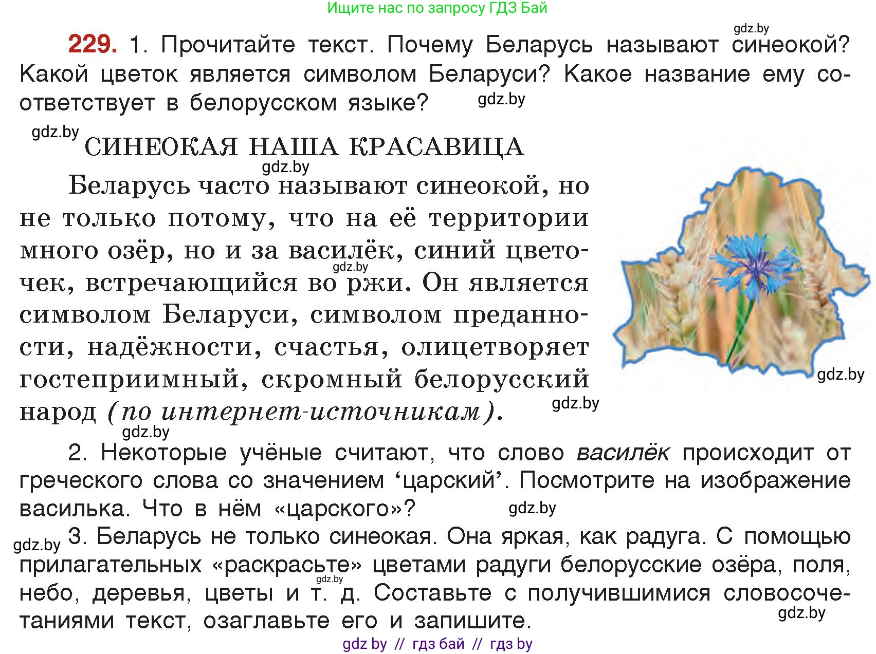Русский язык, 5 класс Учебник, авторы: Мурина Лариса Александровна, Игнатович Татьяна Владимировна, Жадейко Жанна Фёдоровна, издательство Академия образования, Минск, 2025, голубого цвета, Часть 2, страница 113, номер 229, Условие