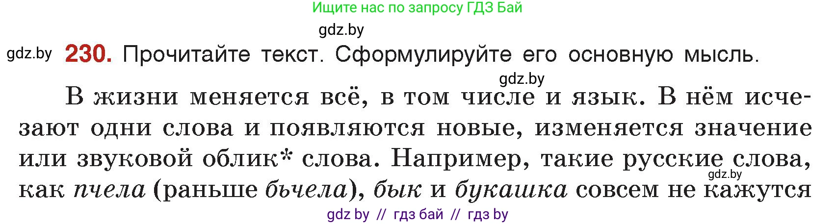 Русский язык, 5 класс Учебник, авторы: Мурина Лариса Александровна, Игнатович Татьяна Владимировна, Жадейко Жанна Фёдоровна, издательство Академия образования, Минск, 2025, голубого цвета, Часть 2, страница 113, номер 230, Условие