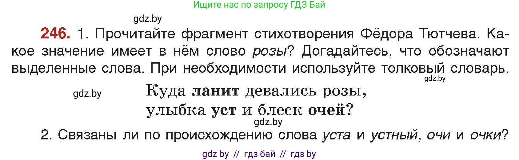Русский язык, 5 класс Учебник, авторы: Мурина Лариса Александровна, Игнатович Татьяна Владимировна, Жадейко Жанна Фёдоровна, издательство Академия образования, Минск, 2025, голубого цвета, Часть 2, страница 121, номер 246, Условие