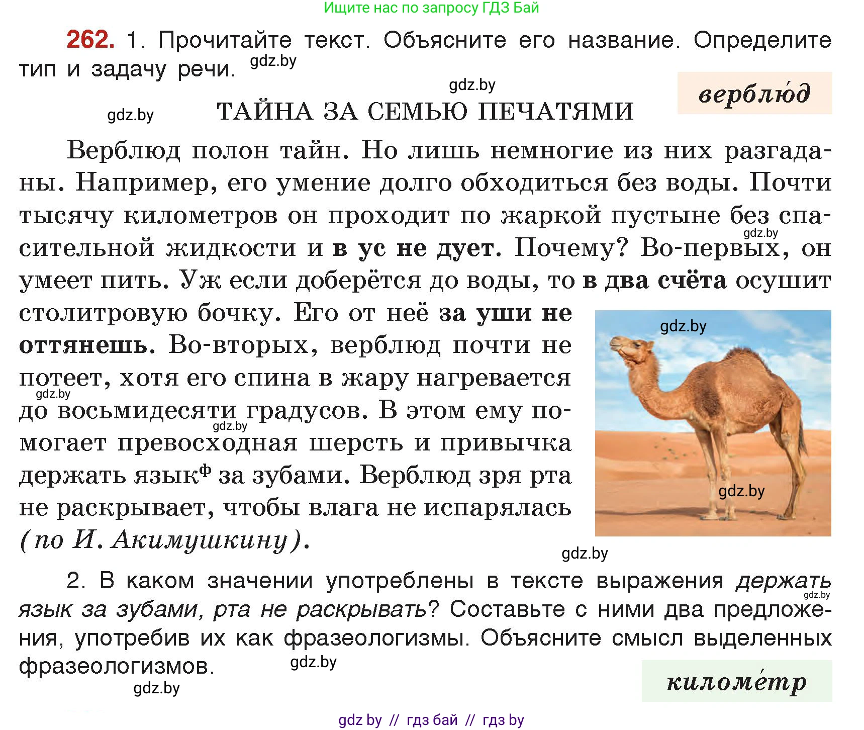 Русский язык, 5 класс Учебник, авторы: Мурина Лариса Александровна, Игнатович Татьяна Владимировна, Жадейко Жанна Фёдоровна, издательство Академия образования, Минск, 2025, голубого цвета, Часть 2, страница 129, номер 262, Условие