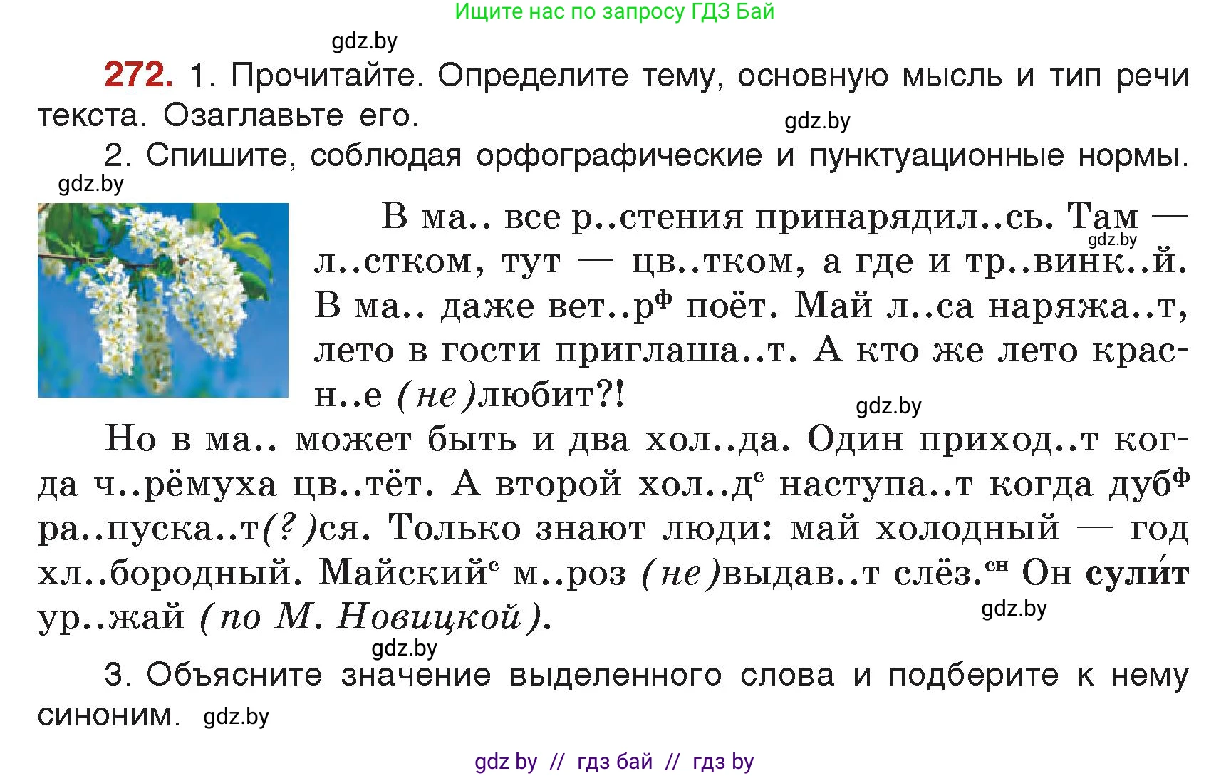 Русский язык, 5 класс Учебник, авторы: Мурина Лариса Александровна, Игнатович Татьяна Владимировна, Жадейко Жанна Фёдоровна, издательство Академия образования, Минск, 2025, голубого цвета, Часть 2, страница 134, номер 272, Условие