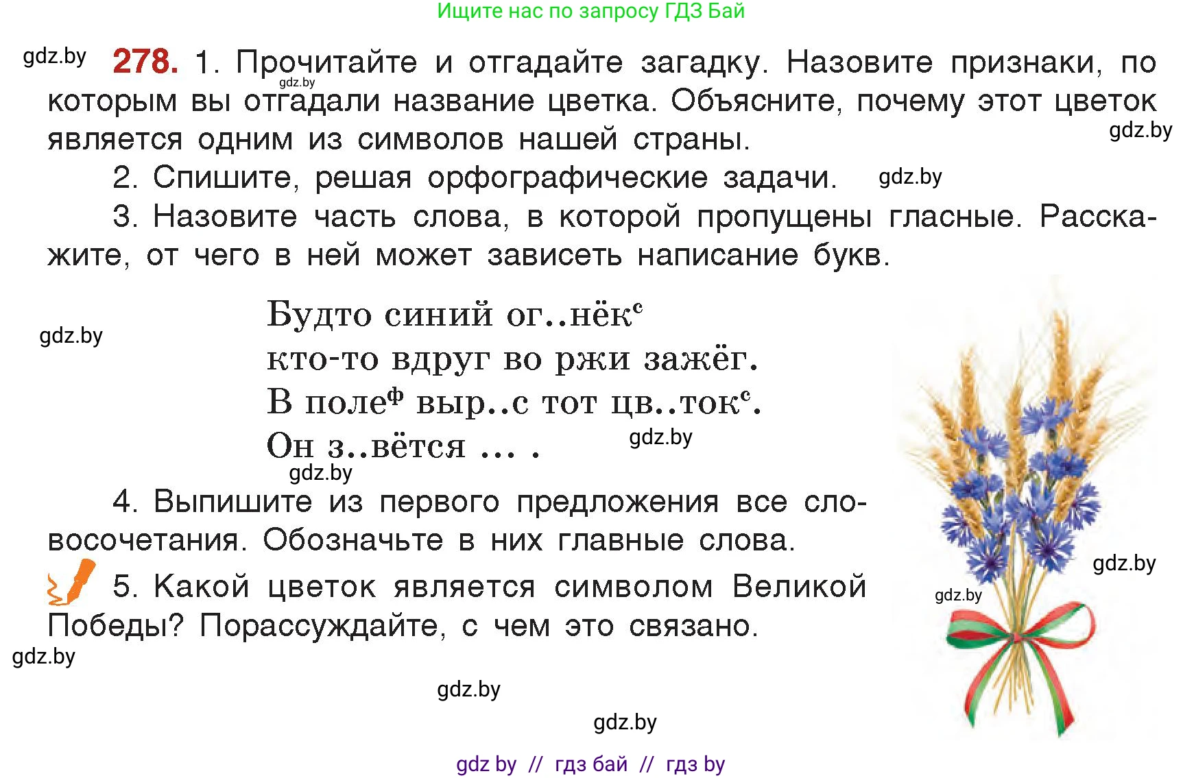 Русский язык, 5 класс Учебник, авторы: Мурина Лариса Александровна, Игнатович Татьяна Владимировна, Жадейко Жанна Фёдоровна, издательство Академия образования, Минск, 2025, голубого цвета, Часть 2, страница 137, номер 278, Условие