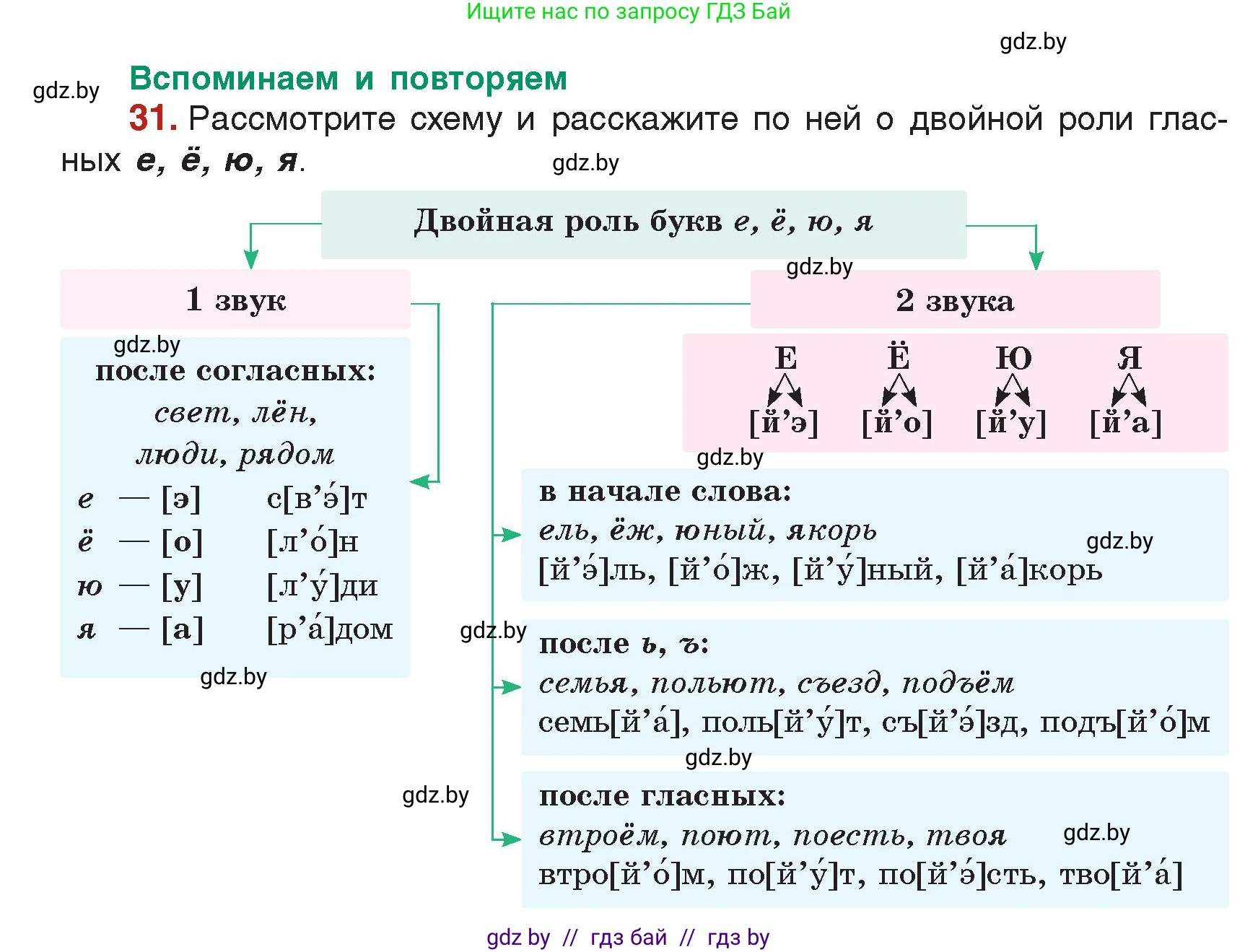 Русский язык, 5 класс Учебник, авторы: Мурина Лариса Александровна, Игнатович Татьяна Владимировна, Жадейко Жанна Фёдоровна, издательство Академия образования, Минск, 2025, голубого цвета, Часть 2, страница 18, номер 31, Условие
