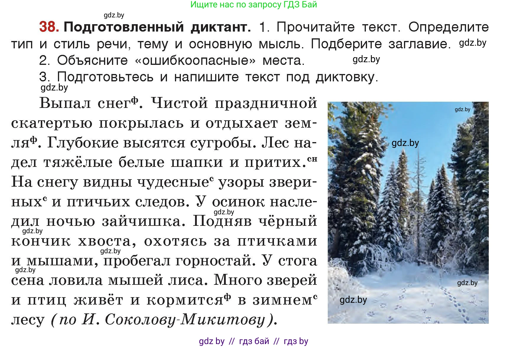 Русский язык, 5 класс Учебник, авторы: Мурина Лариса Александровна, Игнатович Татьяна Владимировна, Жадейко Жанна Фёдоровна, издательство Академия образования, Минск, 2025, голубого цвета, Часть 2, страница 23, номер 38, Условие