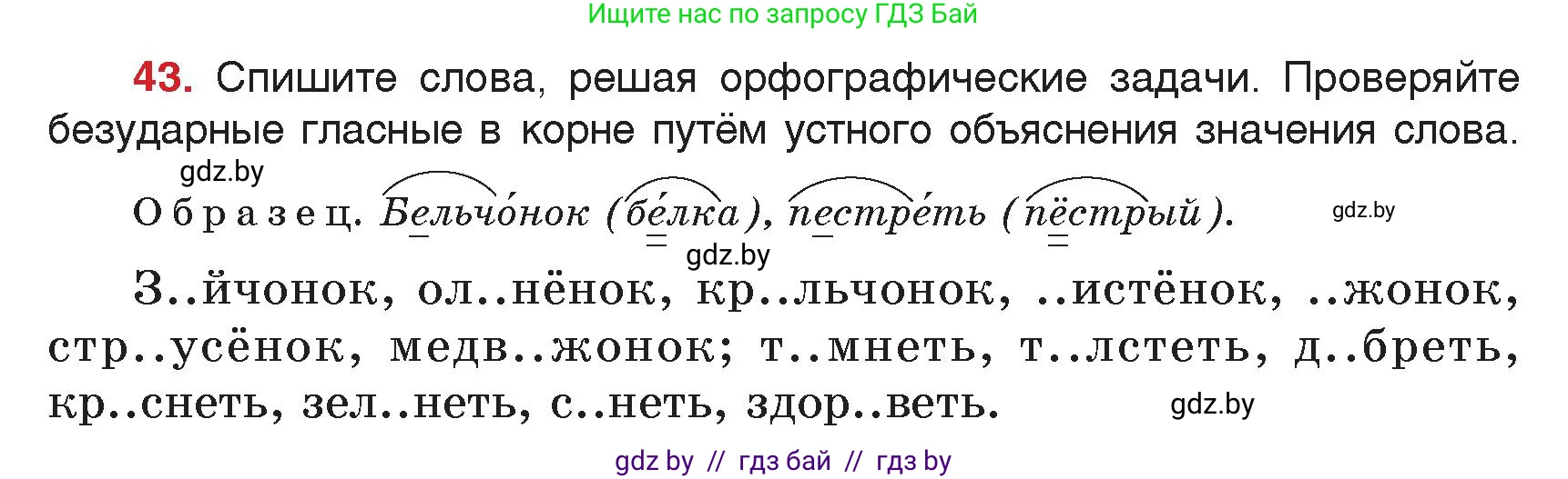 Русский язык, 5 класс Учебник, авторы: Мурина Лариса Александровна, Игнатович Татьяна Владимировна, Жадейко Жанна Фёдоровна, издательство Академия образования, Минск, 2025, голубого цвета, Часть 2, страница 26, номер 43, Условие