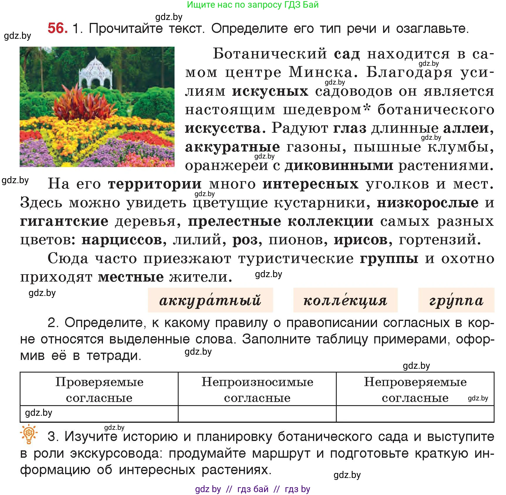 Русский язык, 5 класс Учебник, авторы: Мурина Лариса Александровна, Игнатович Татьяна Владимировна, Жадейко Жанна Фёдоровна, издательство Академия образования, Минск, 2025, голубого цвета, Часть 2, страница 34, номер 56, Условие